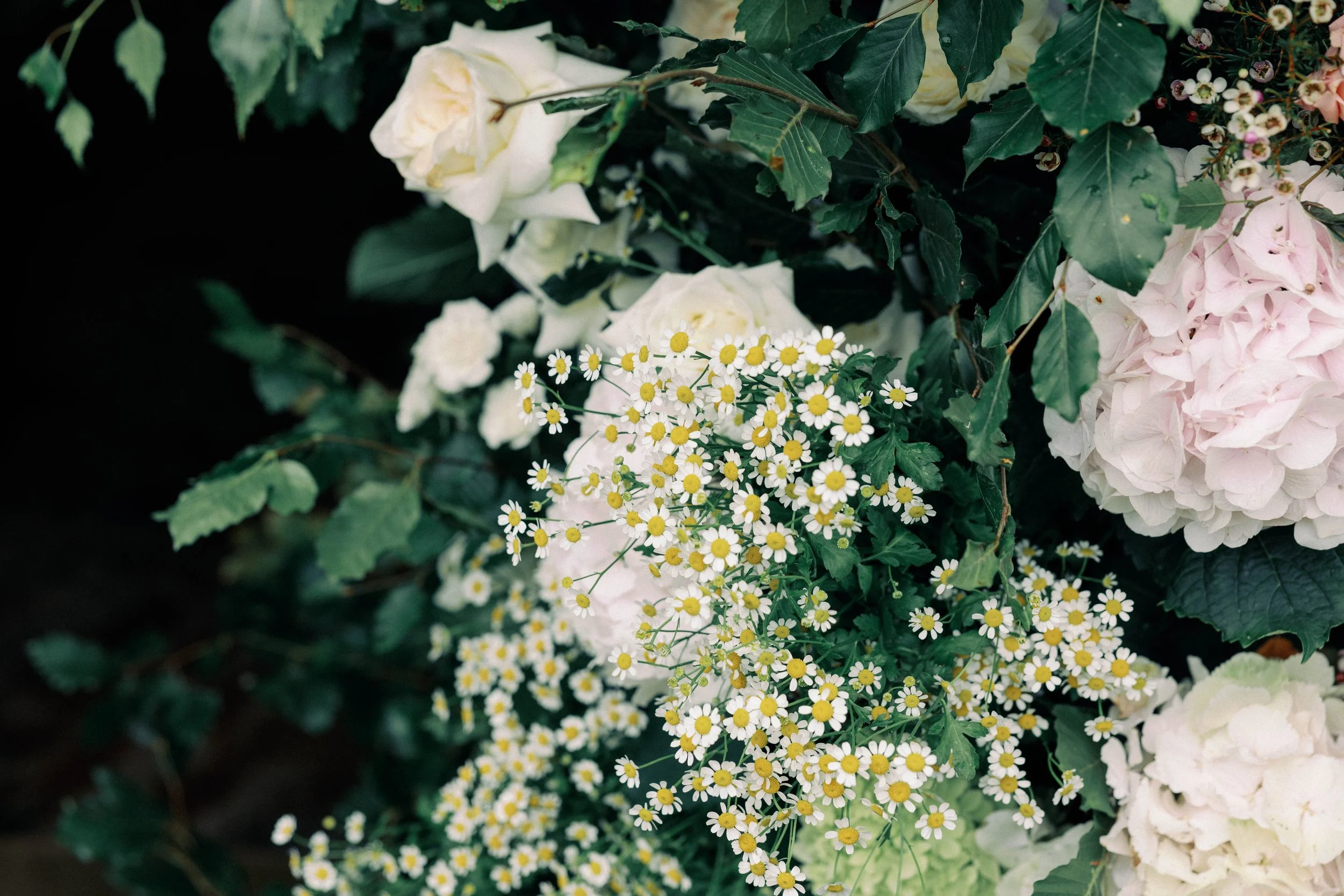White roses, pink hydrangeas and small white daisies with yellow centers, surrounded by green leaves.