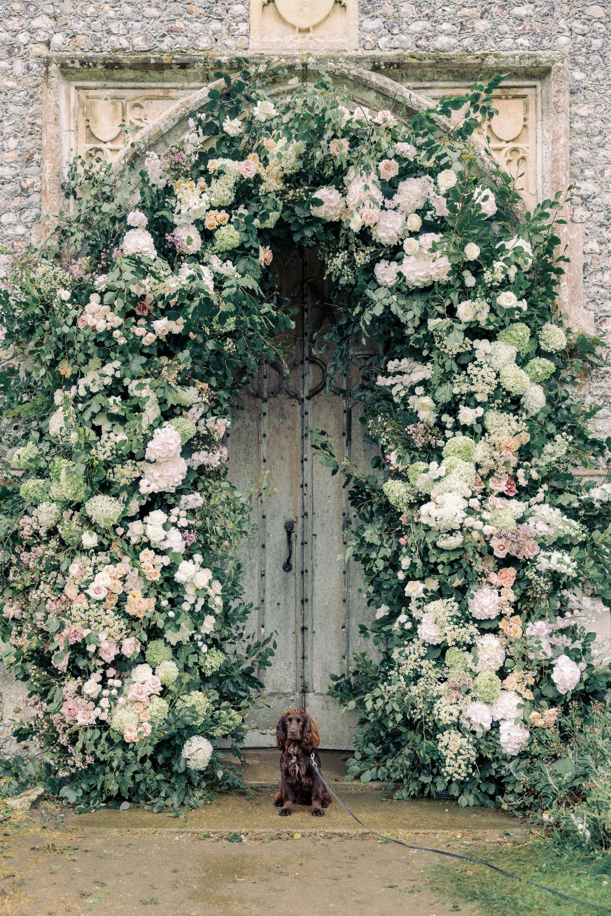 A dog sitting in front of a wooden church door surrounded by a lush floral archway installation in Heydon Norfolk