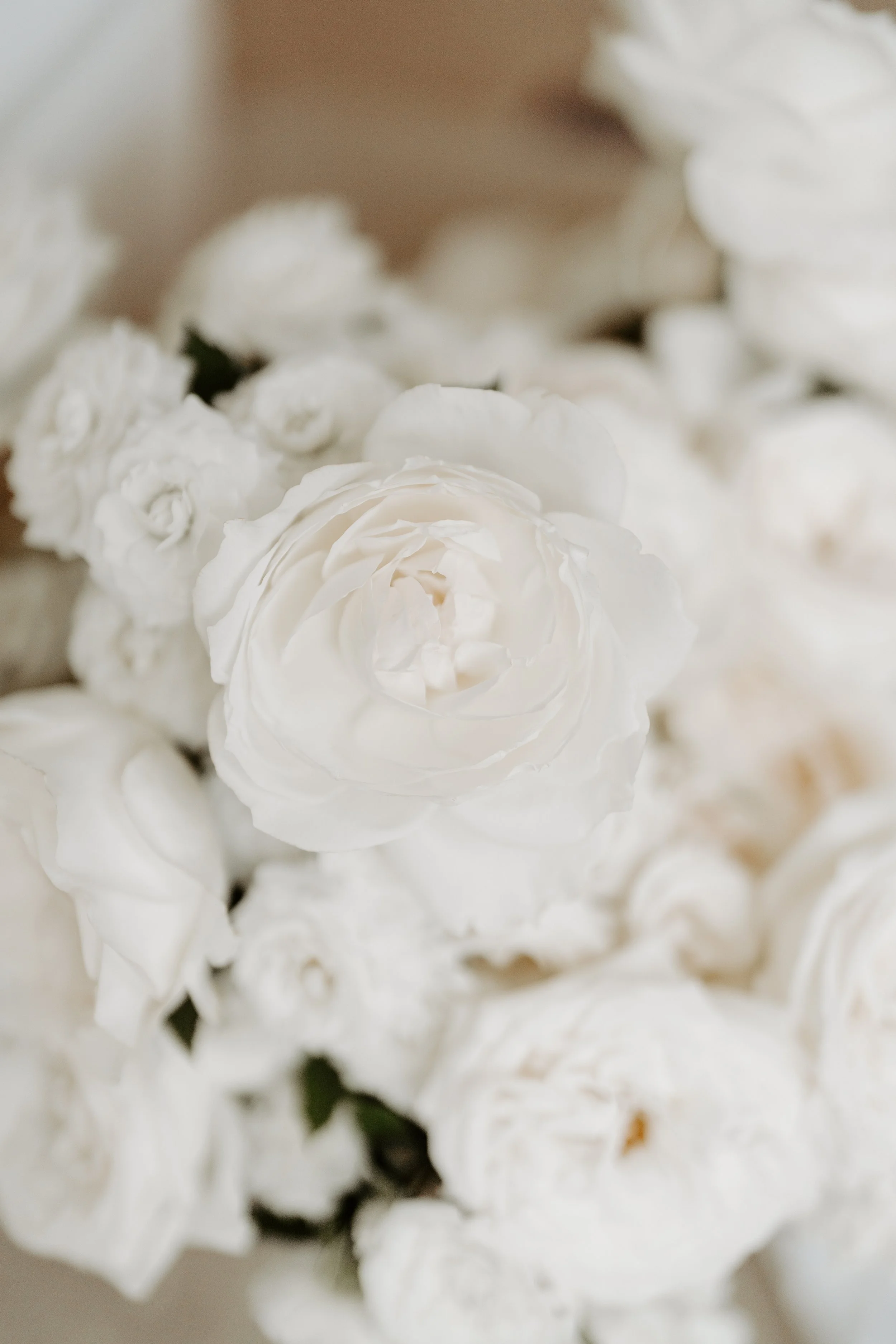 Close-up of white roses and flowers