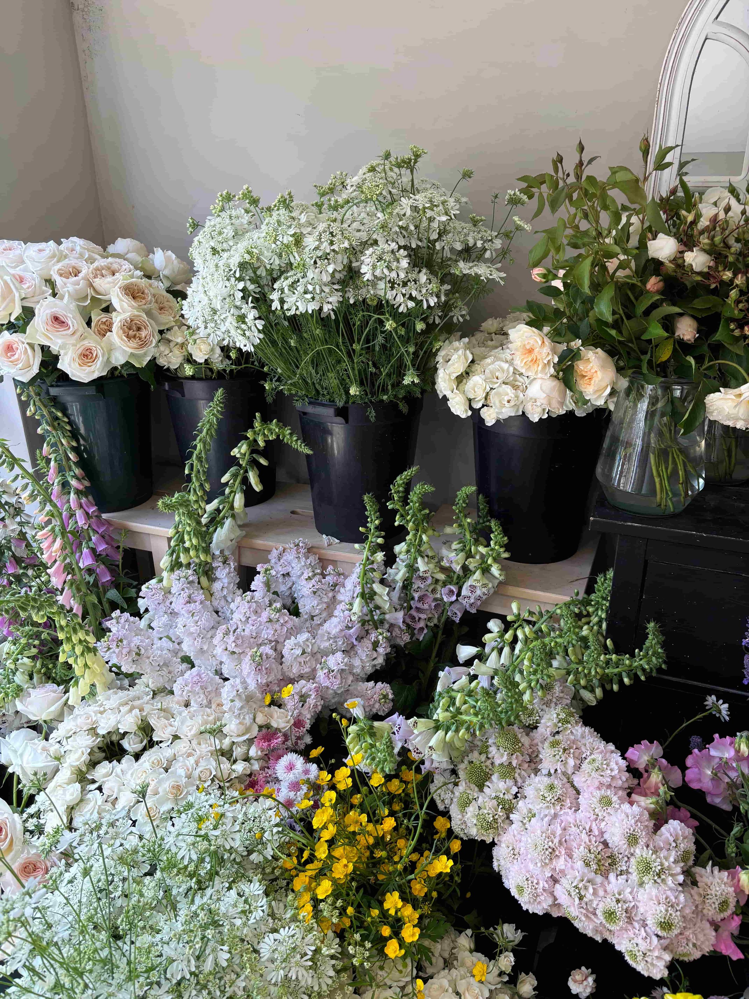 Various white, pink, and yellow flowers in black pots and vases arranged on a white and dark furniture piece. The Botany House studio in Norfolk. In preparation for Mother's Day bouquet gifting, the best in Norfolk