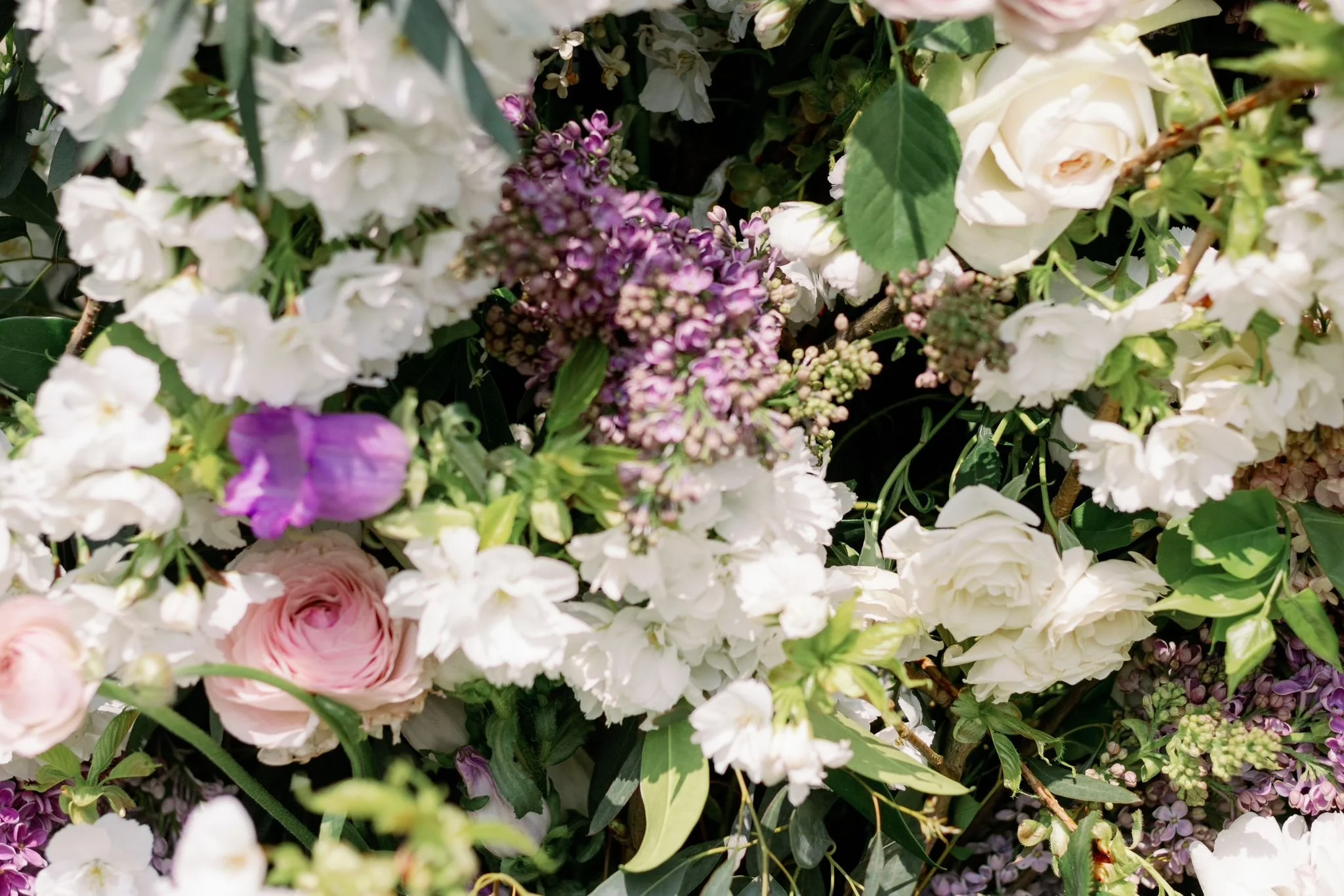 A close-up of a collection of white, pink, and purple flowers with green leaves.