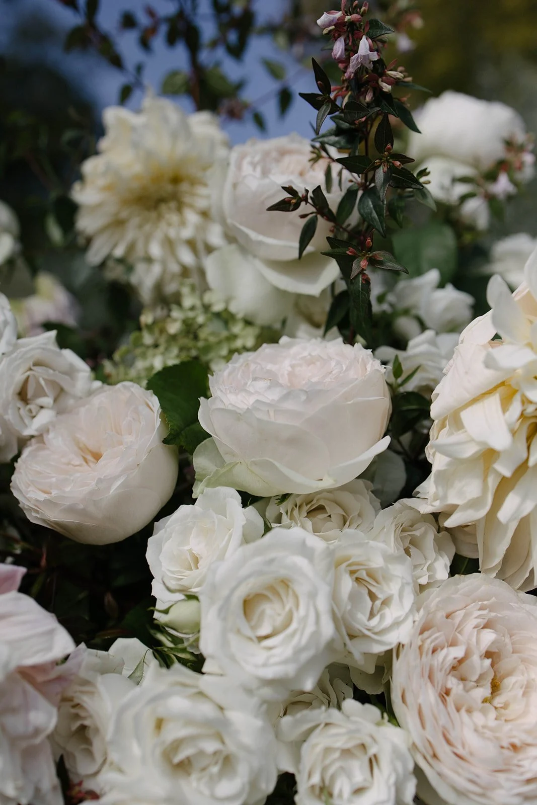Close-up of a luxury garden-style bridal bouquet with white dahlias and roses at a Cornwell Manor wedding, designed by The Botany House, best luxury wedding florist.