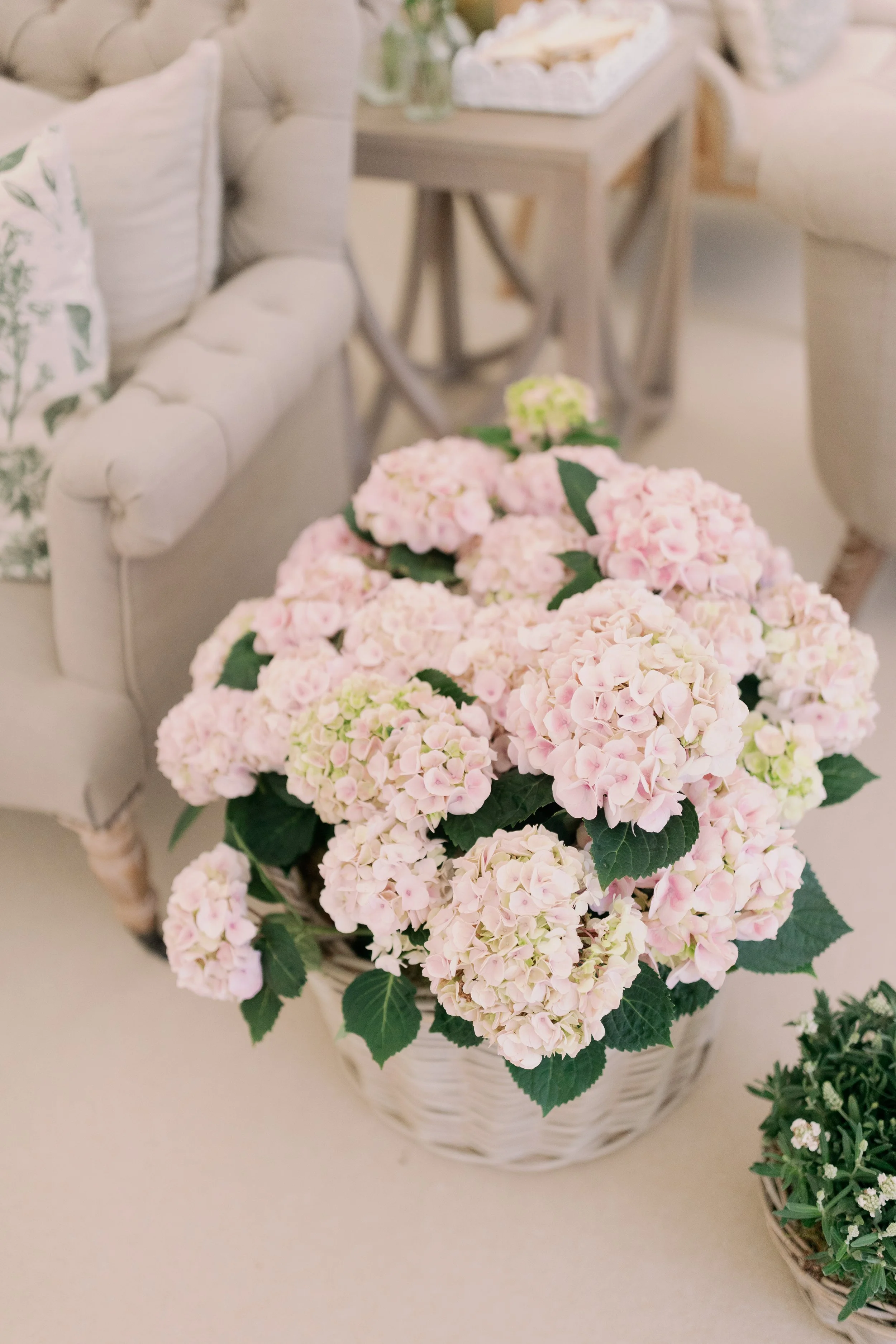 Pink hydrangea flowers in a woven basket in a sailcloth marquee lounge area.