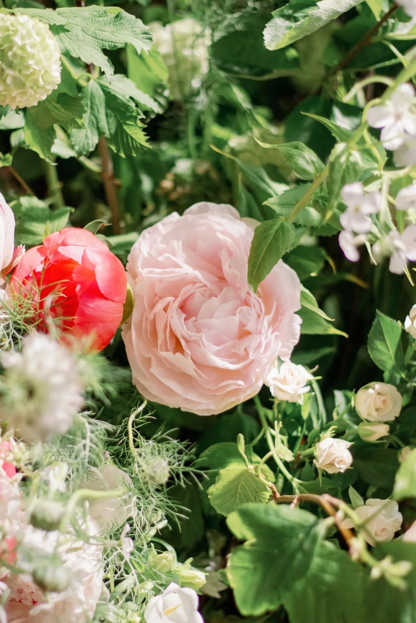 Various flowers and green leaves, including a prominent light pink peony, white roses, and other small white and pink flowers, in a lush garden setting.