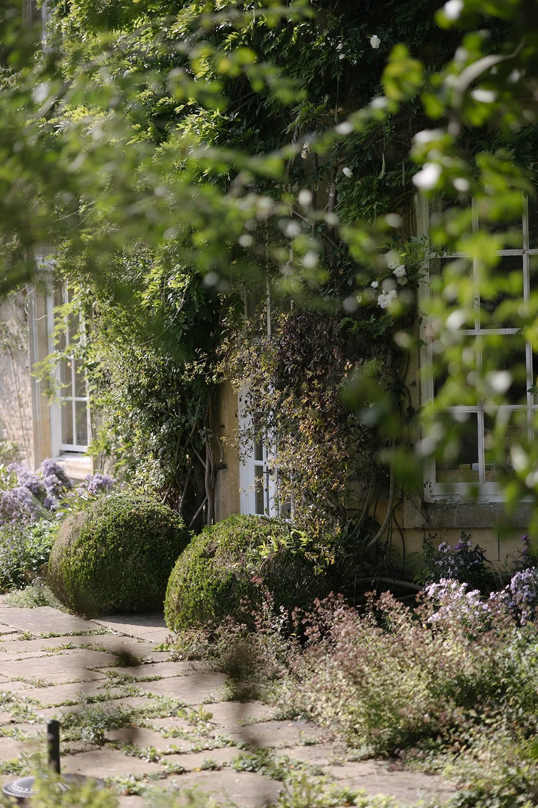 A garden pathway with stone tiles, surrounded by lush green bushes and flowering plants, with part of a house featuring creamcolored walls and windows with white frames covered in climbing plants. luxury garden-style wedding flowers The Botany House