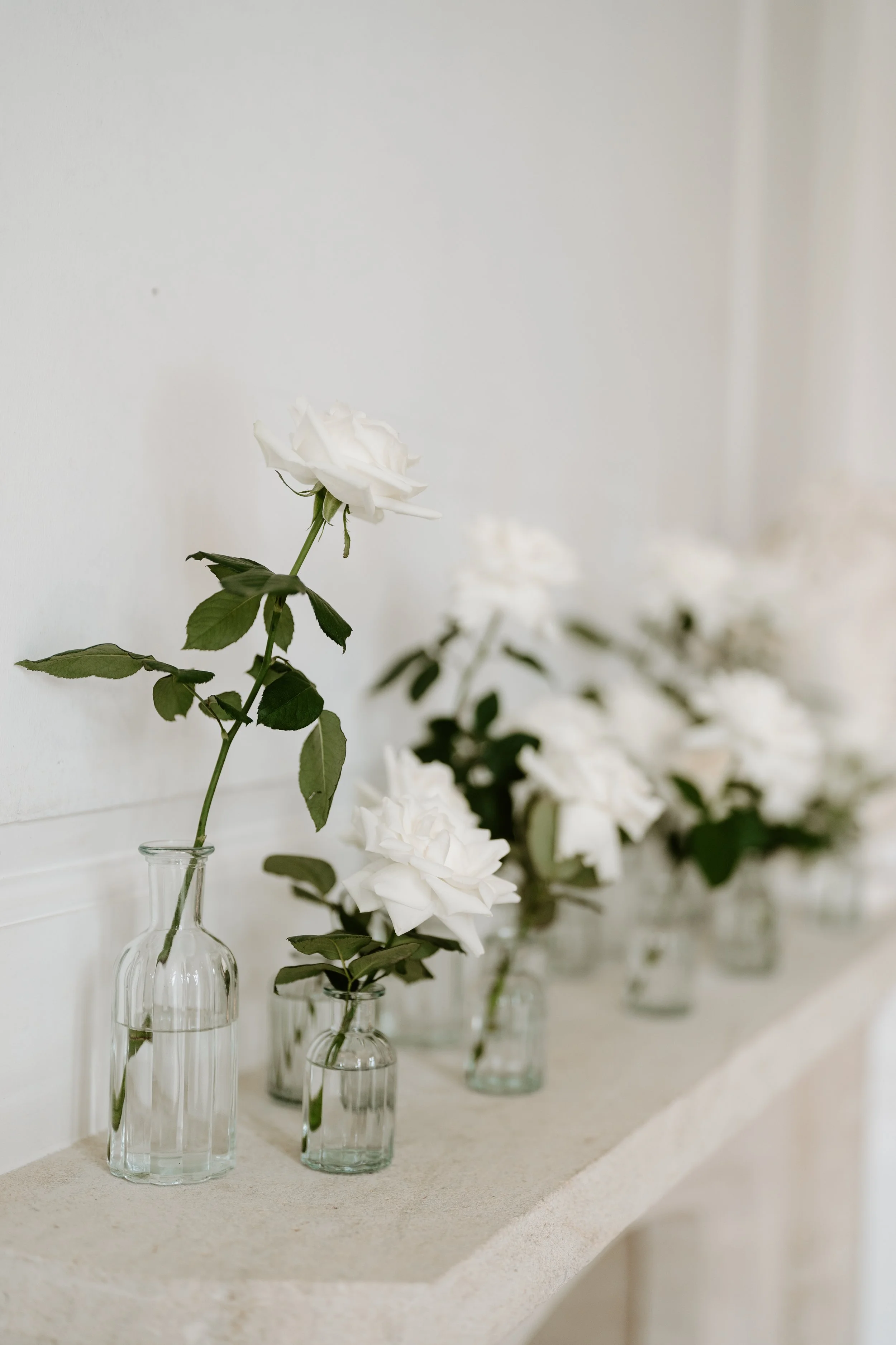White roses in clear glass vases on a beige shelf against a white wall.
