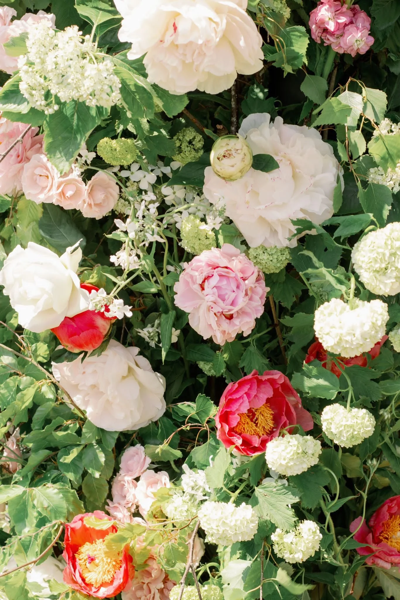 A lush mix of various blooming peonies, roses, and hydrangeas in pink, white, and cream colors surrounded by green leaves.