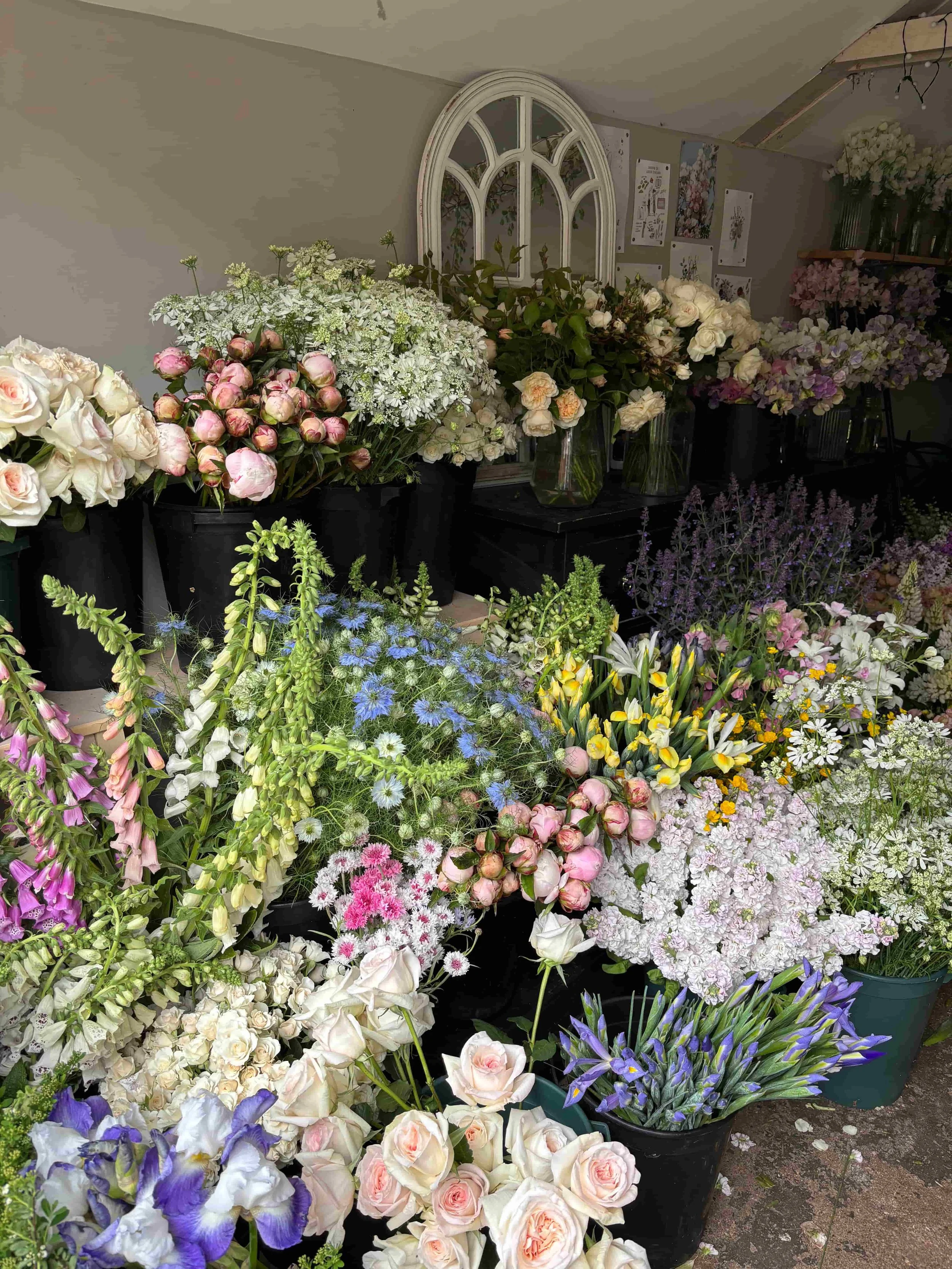 Various potted flowers and bouquets, including roses, peonies, irises, and daisies, arranged indoors against a wall with flower-themed decor. The Botany House studio in Norfolk. In preparation for Mother's Day bouquet gifting, the best in Norfolk
