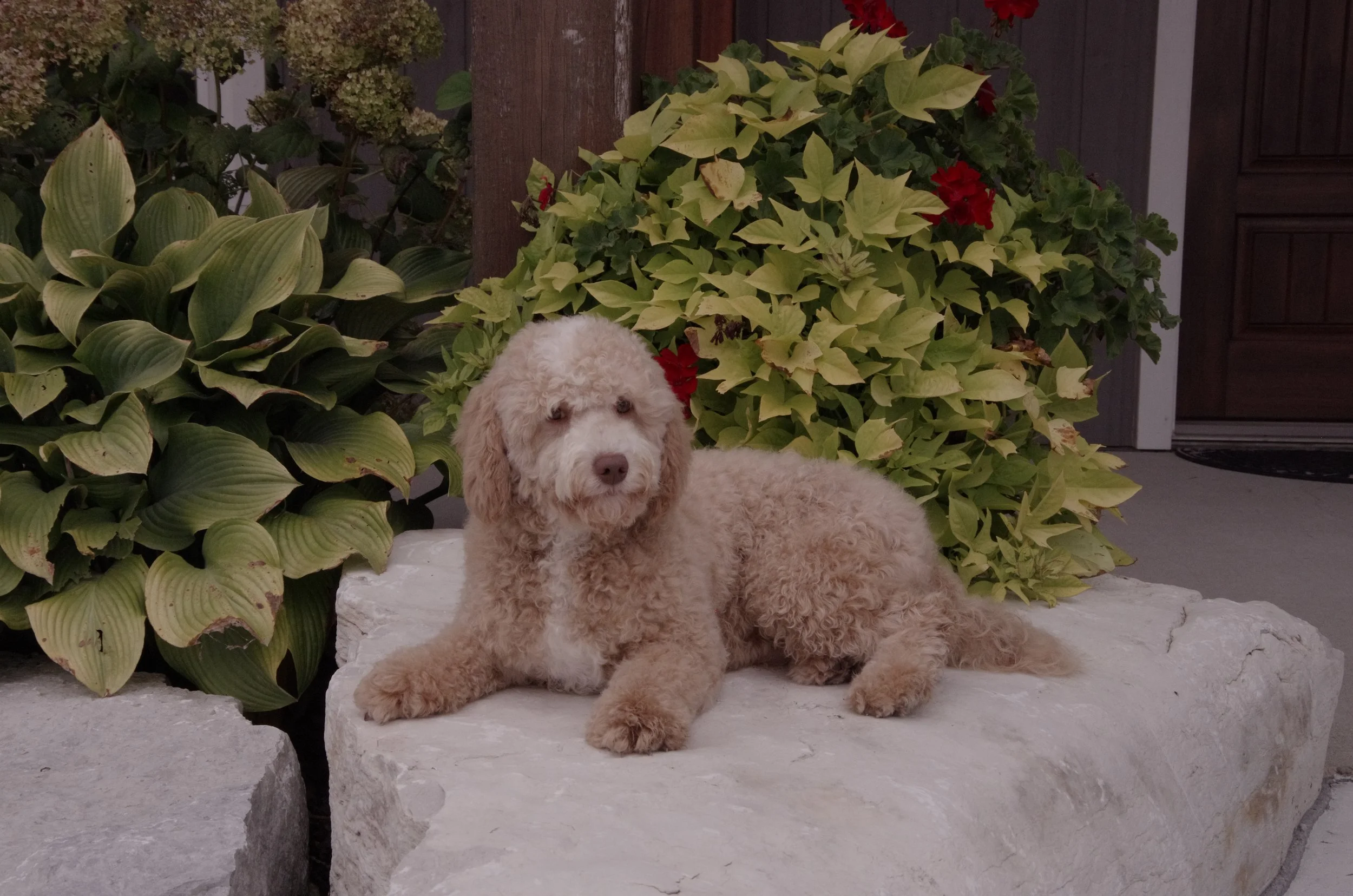 Oct 4 2021       5597.JPG