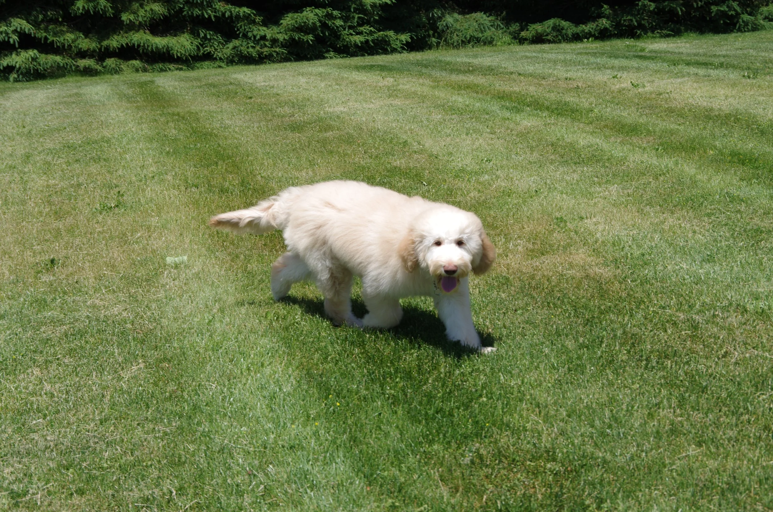 IMGP7219.JPG
