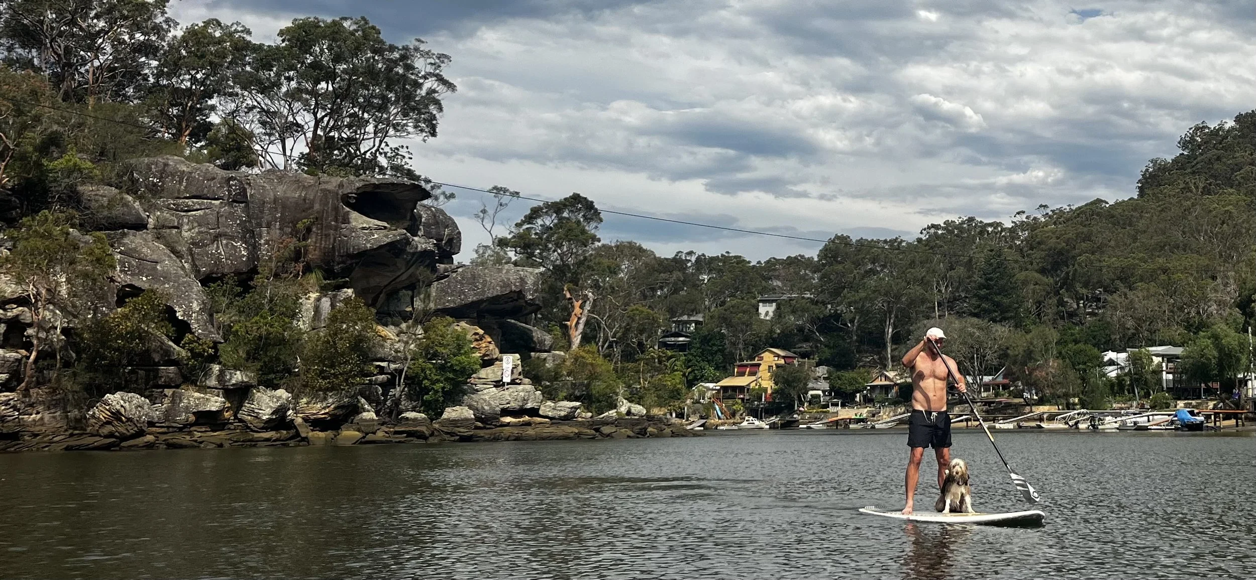 Lachlan McDonald paddleboarding with his dog Val on the water in Sydney