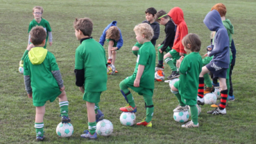 MiniRoos Return