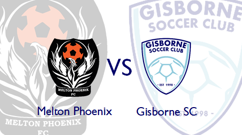 Pre-Season Match