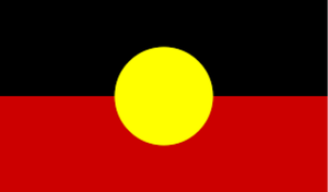 IndigFlag.png