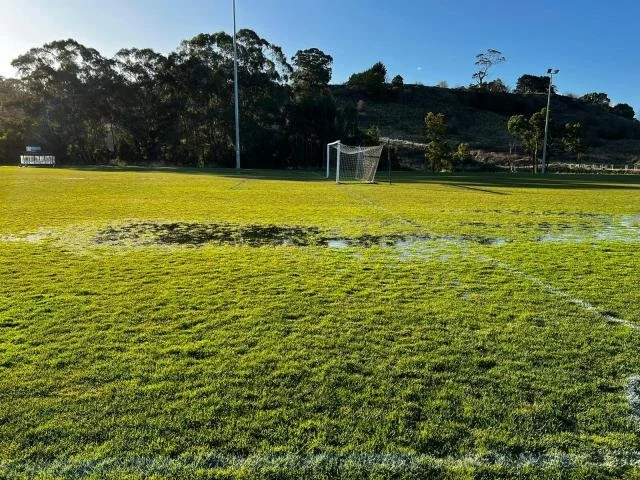 Dixon Field master plan adopted