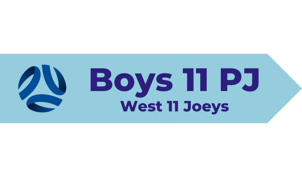 Boys 11 PJ.png
