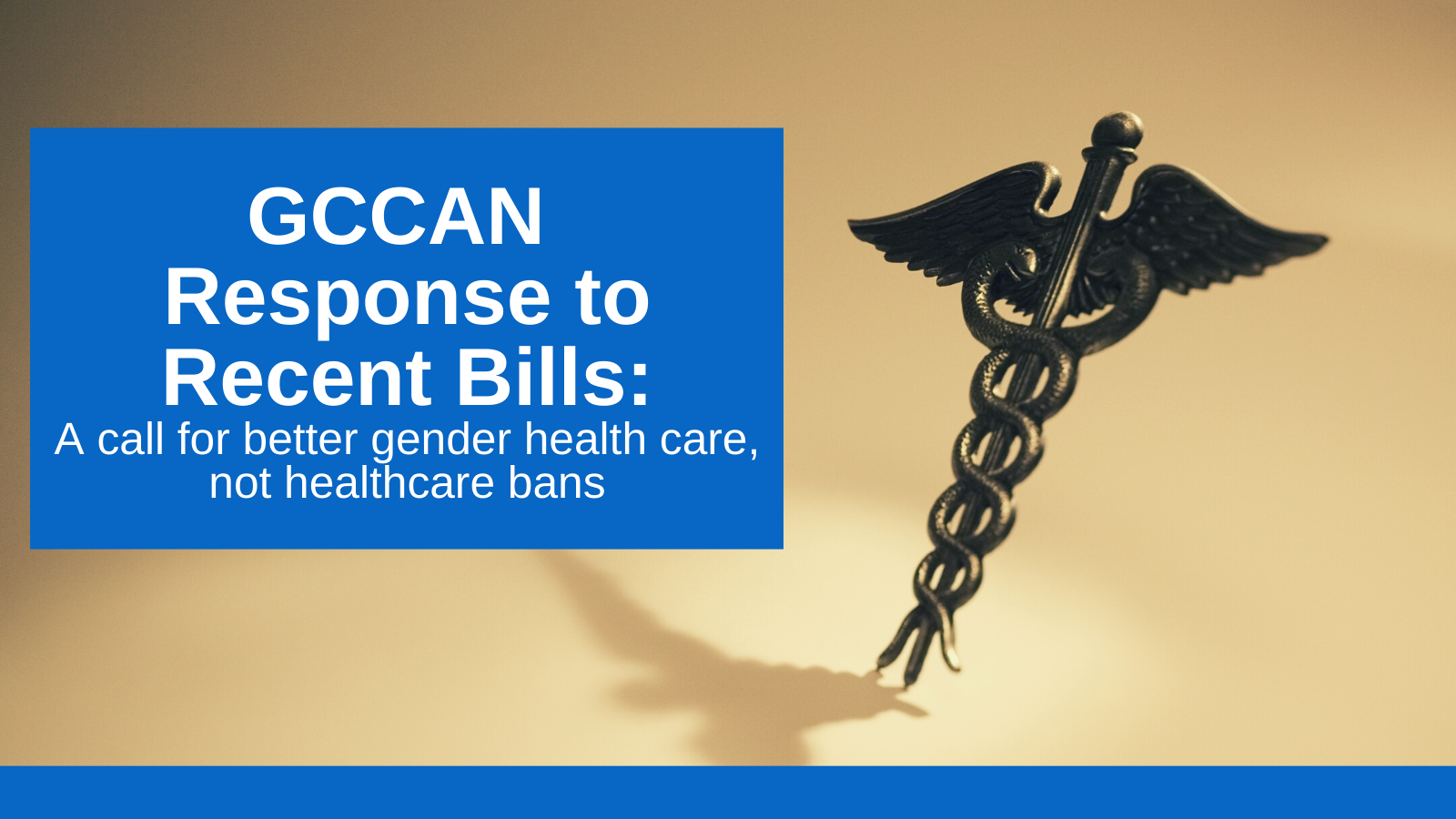 Response to Recent US Bills Limiting Pediatric Transition Care