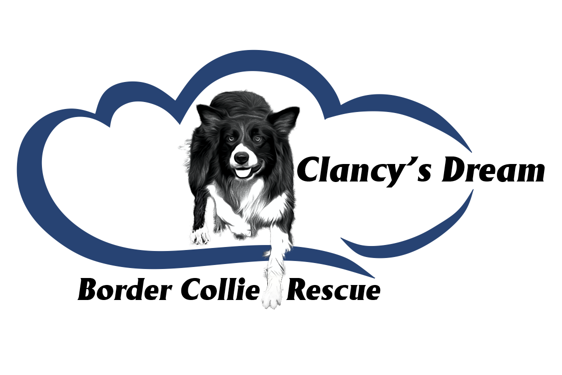 Home - Western Border Collie Rescue