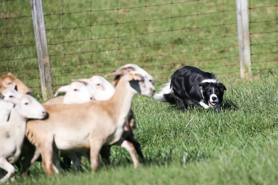 Photo Sep 24, 7 00 27 AM.jpg