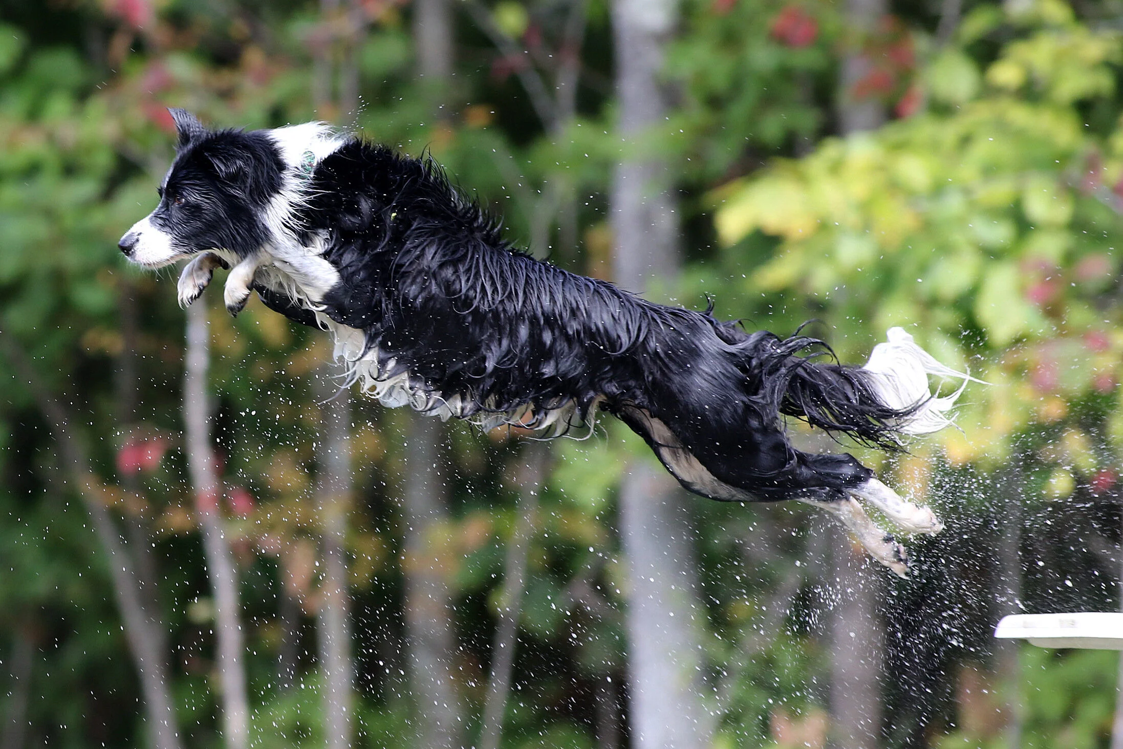 Photo Sep 19, 2 57 33 PM (1).jpg