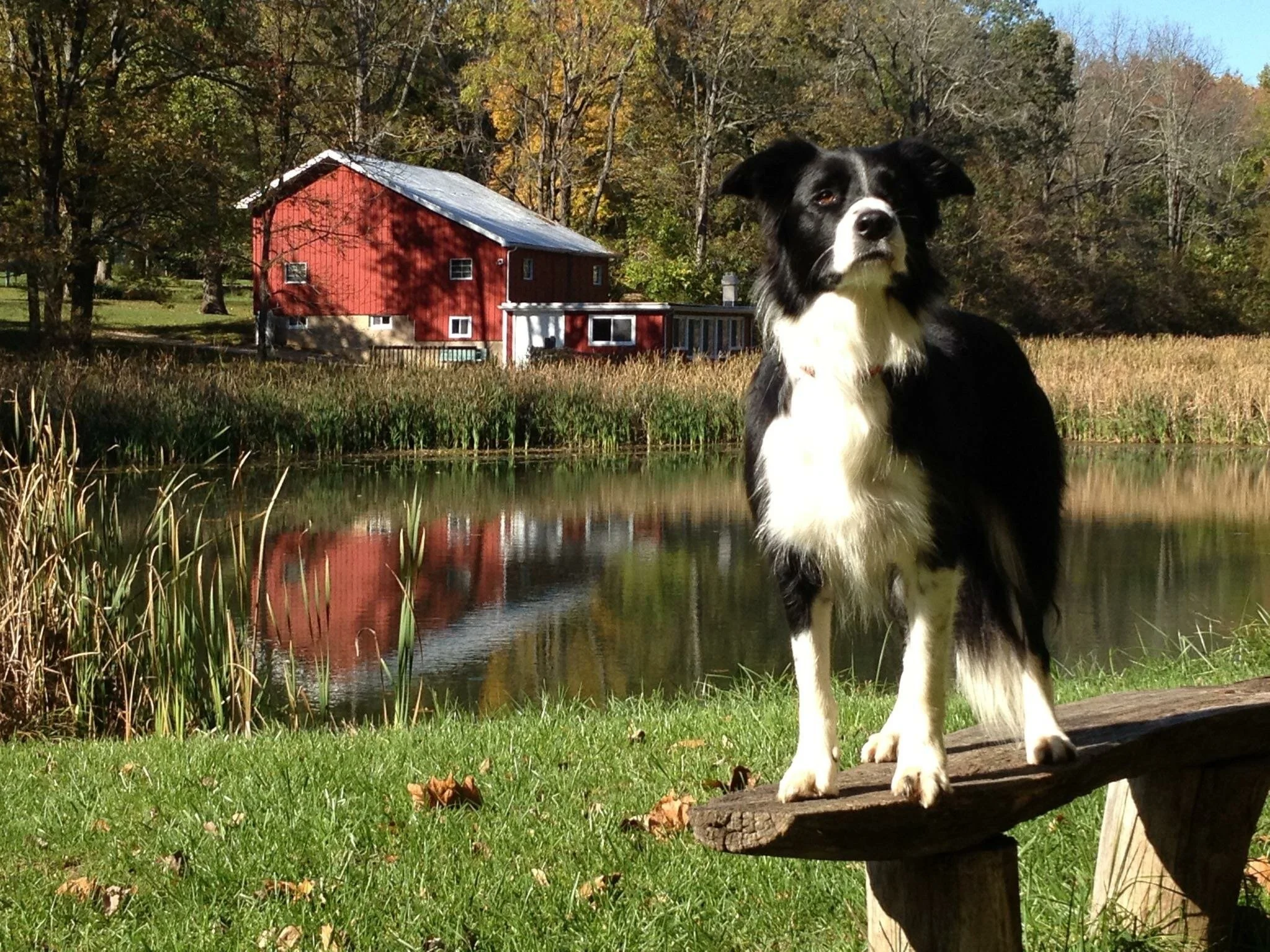 Photo Oct 08, 7 26 09 AM.jpg