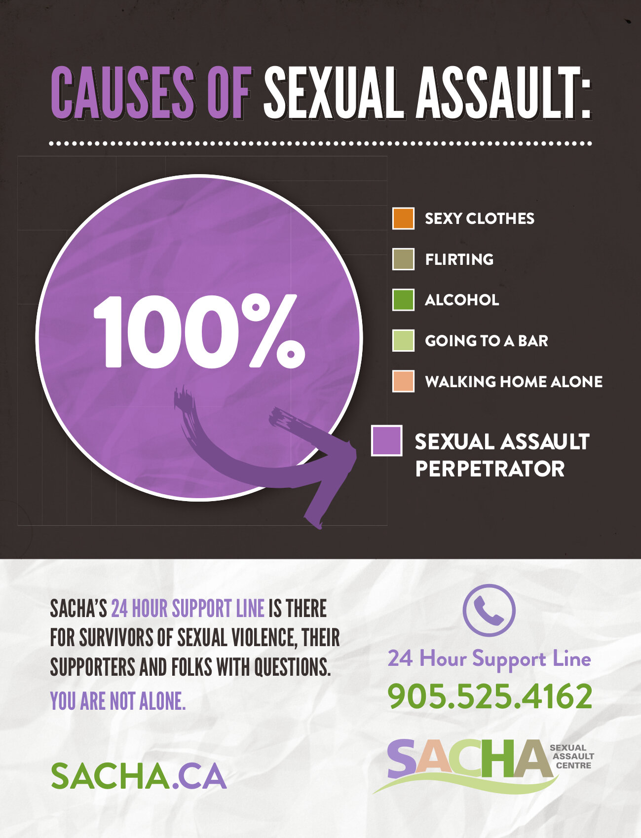 Causes of Sexual Assault.jpg