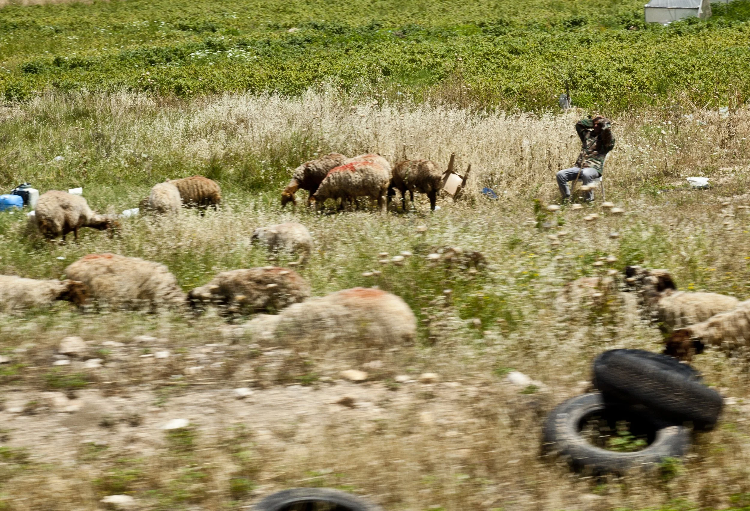 IMG_5310.JPG