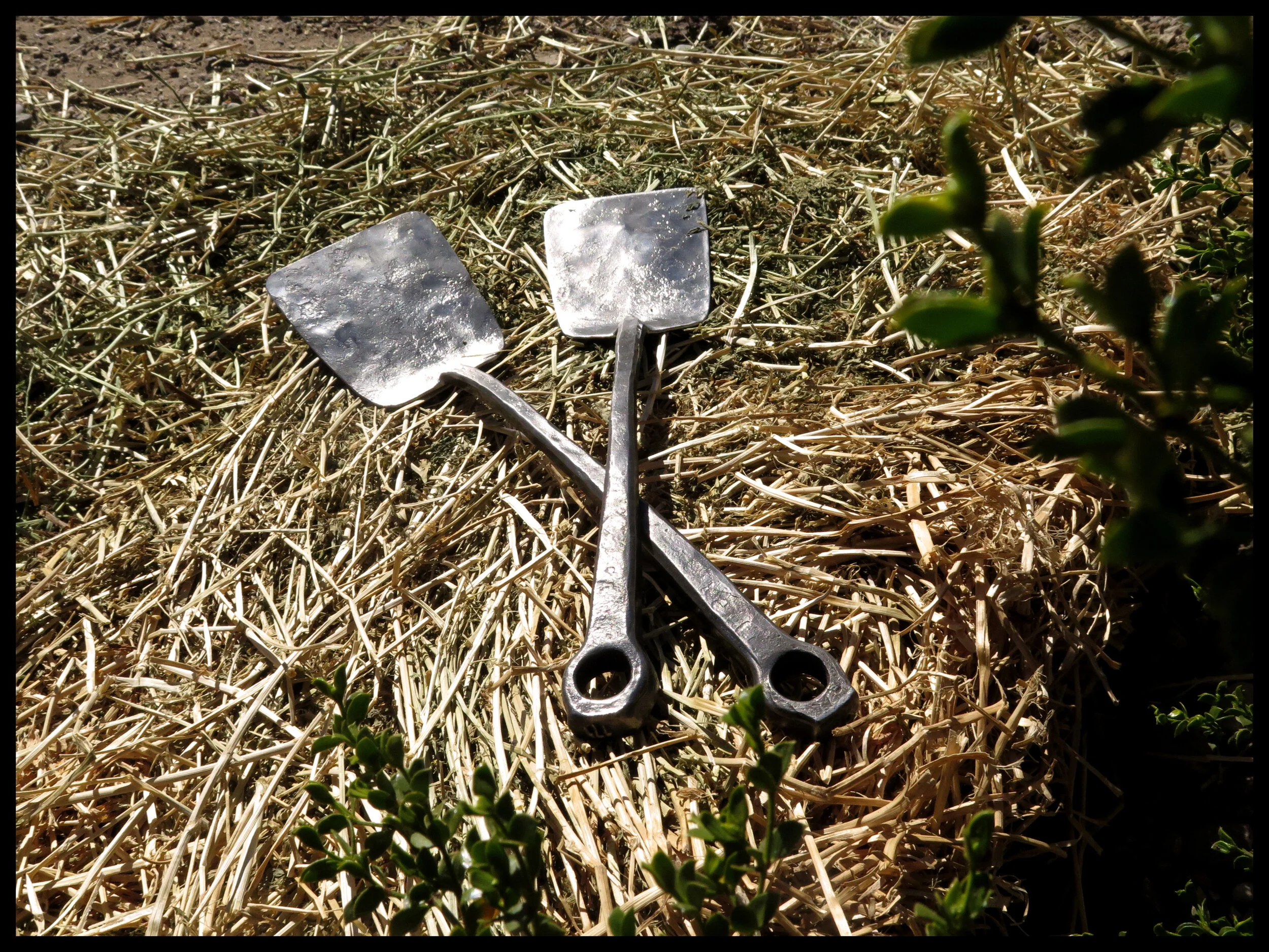 Forever Spatula's