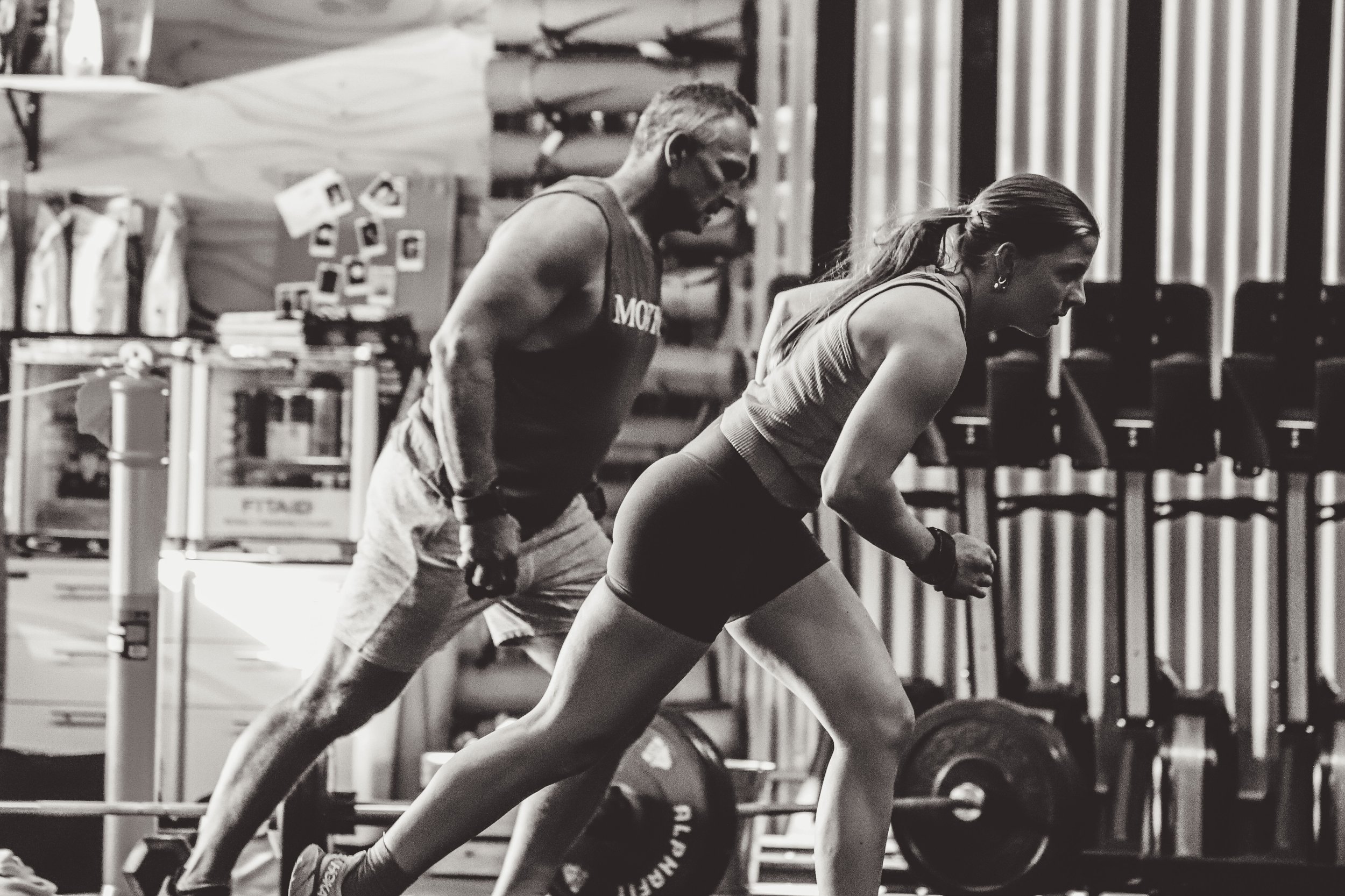 Programs — Motion Fitness Armidale • Armidale Gym