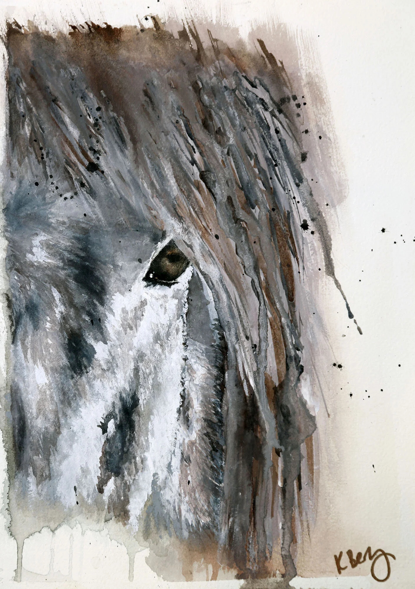 Horse2WEB.jpg