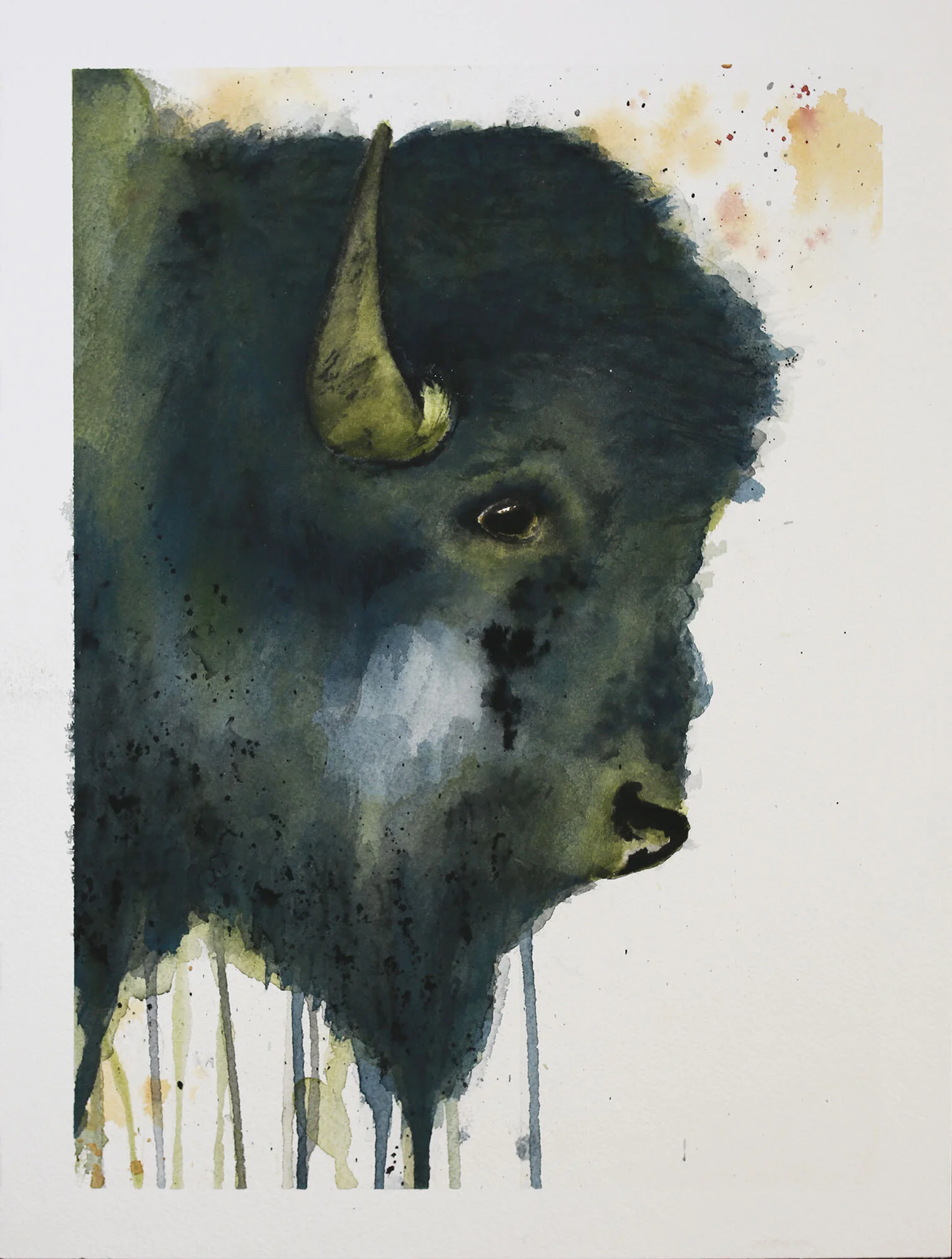 Buffalo3.jpg