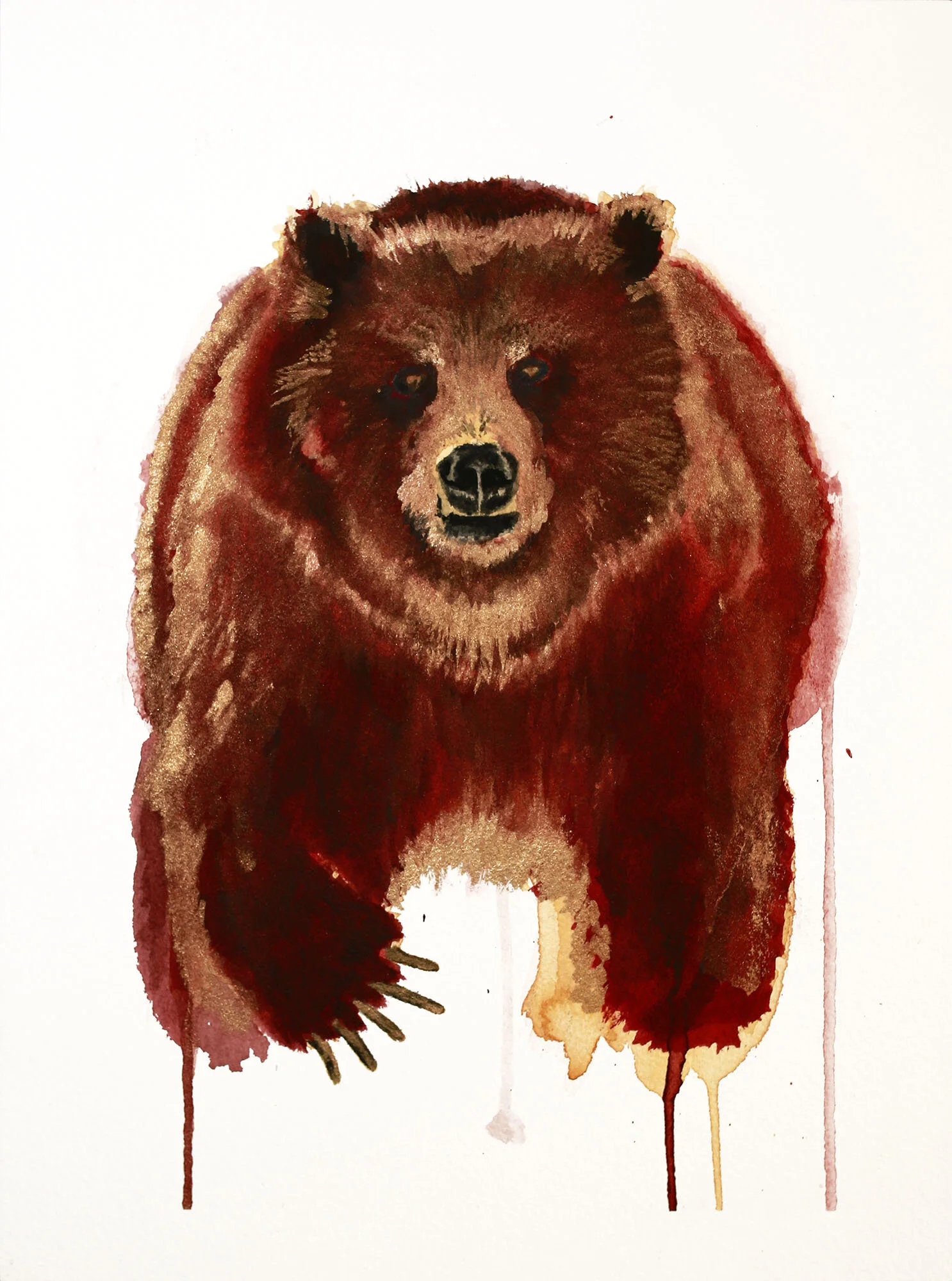 BearWEB.jpg