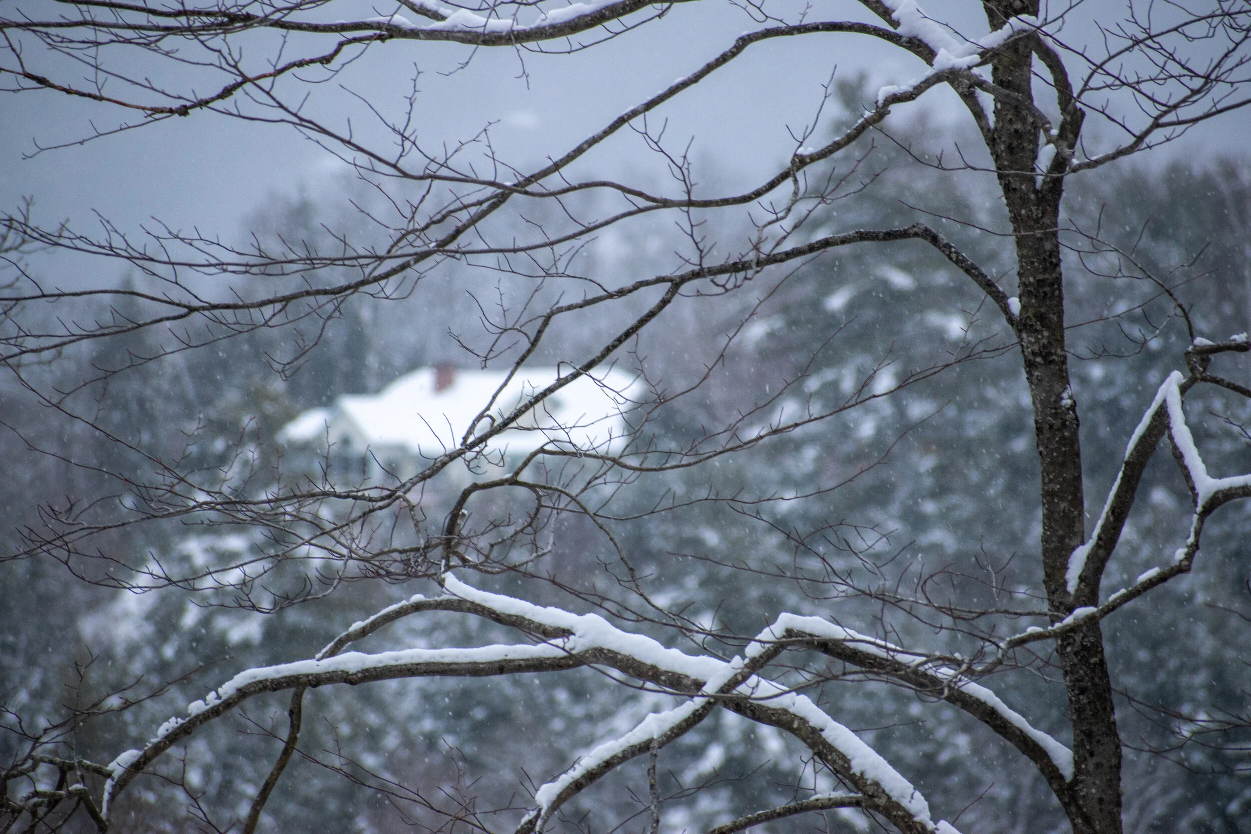 DSC_0891.jpg