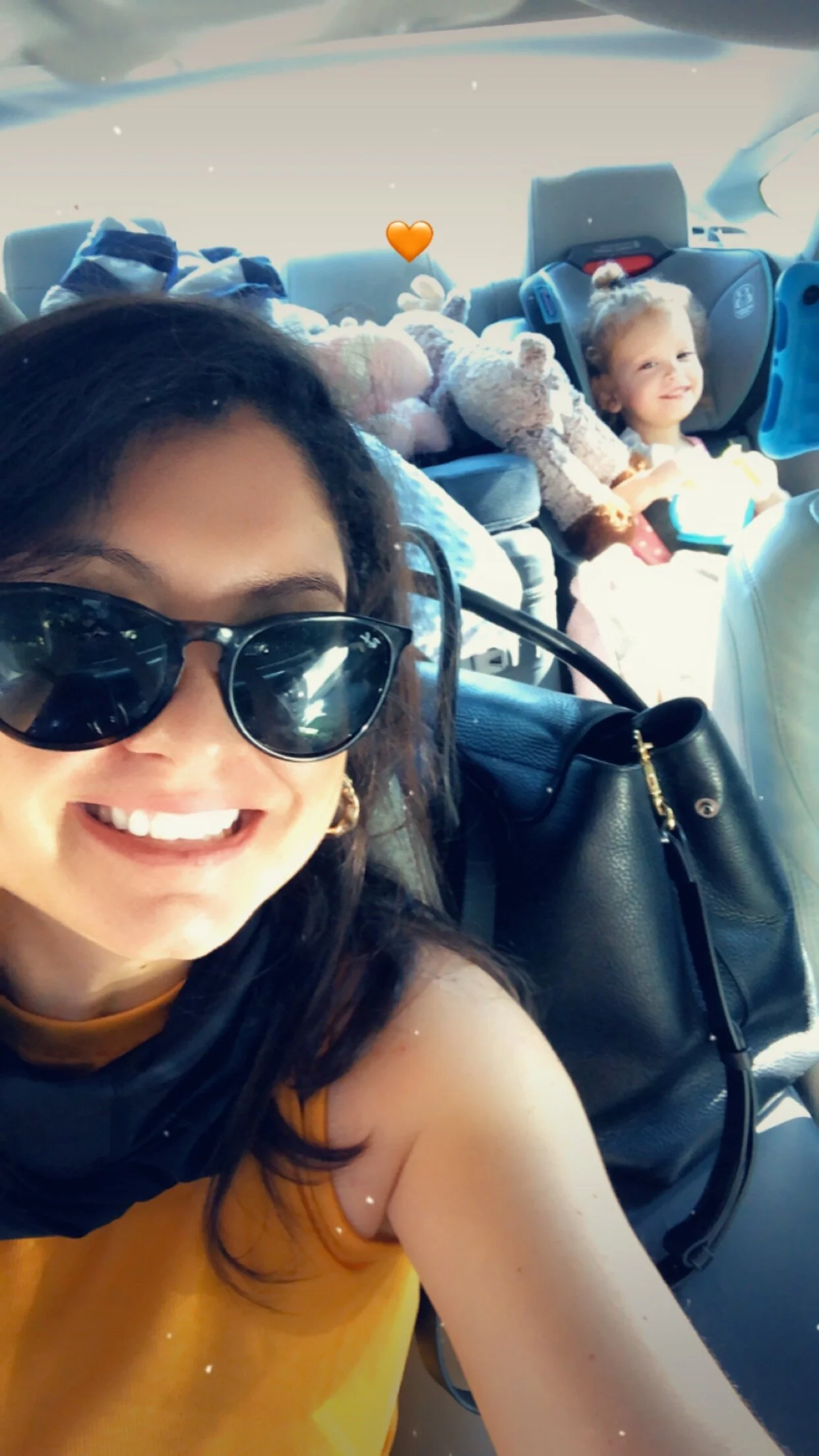 How to Guide: Cross Country Drive with Toddlers and Pets, oh my!