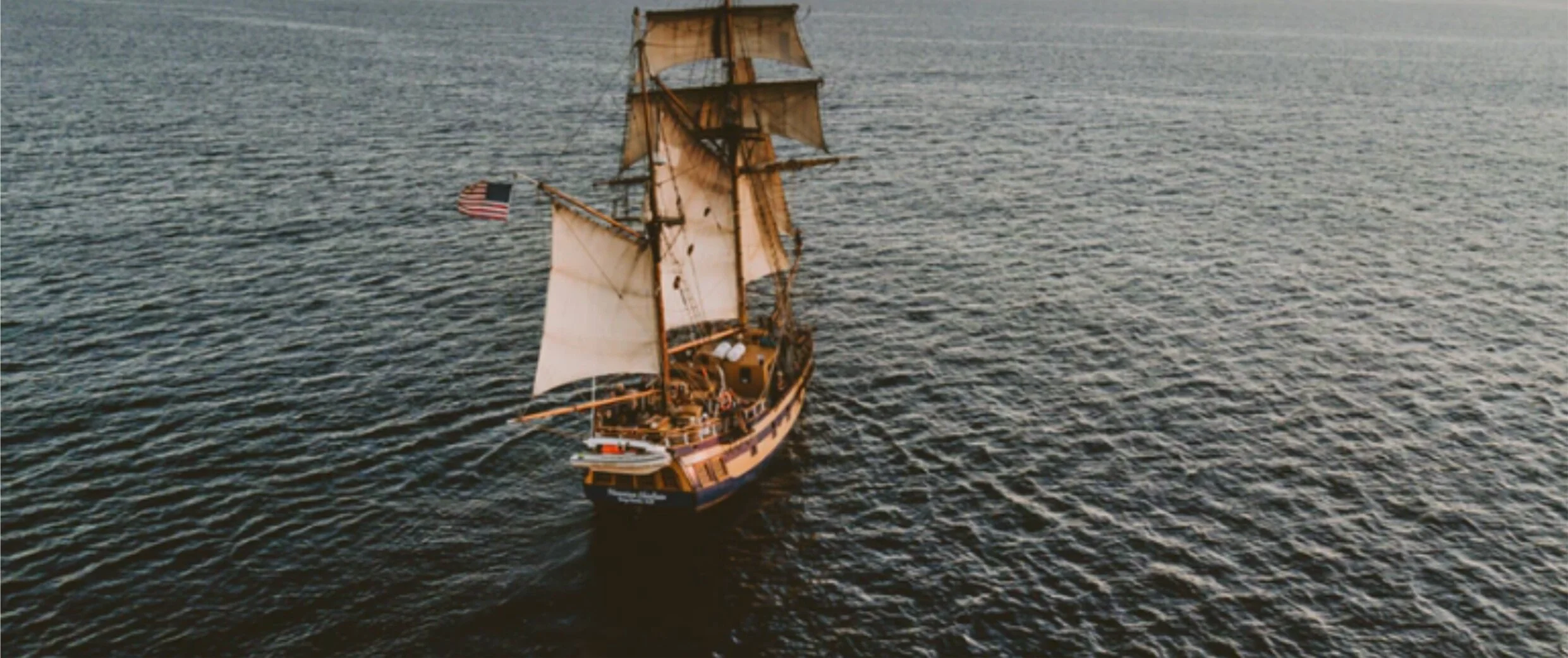 Part Renegade, Part Professional: Creating a Logo for a Pirate