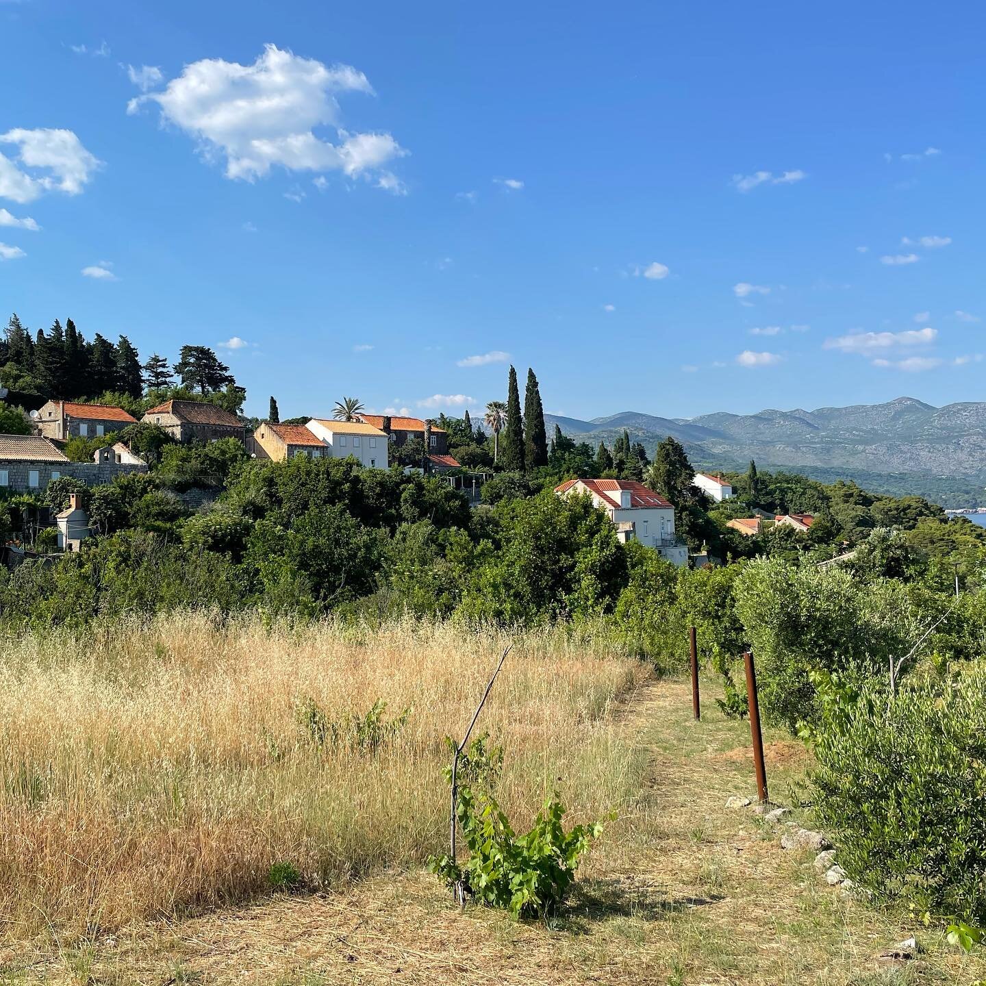 So long to the beautiful island of Kolocep, Croatia. We spent a fulfilling 5 days hiking your beautiful trails and making our own meals in our small apartment kitchen.

If your every visiting Dubrovnik, Croatia - I recommend taking the time to make a