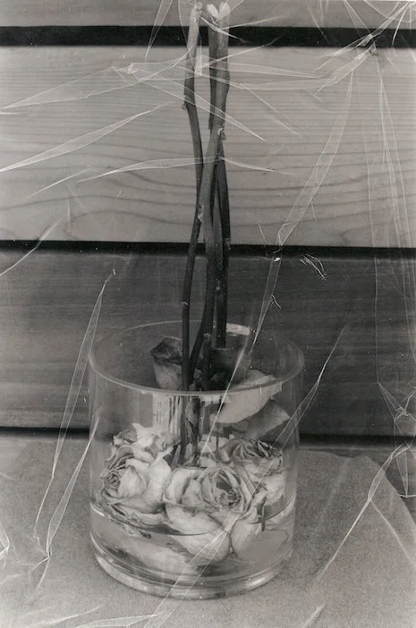 A Handful of Thorns and You'll Know You've Missed It, 2018