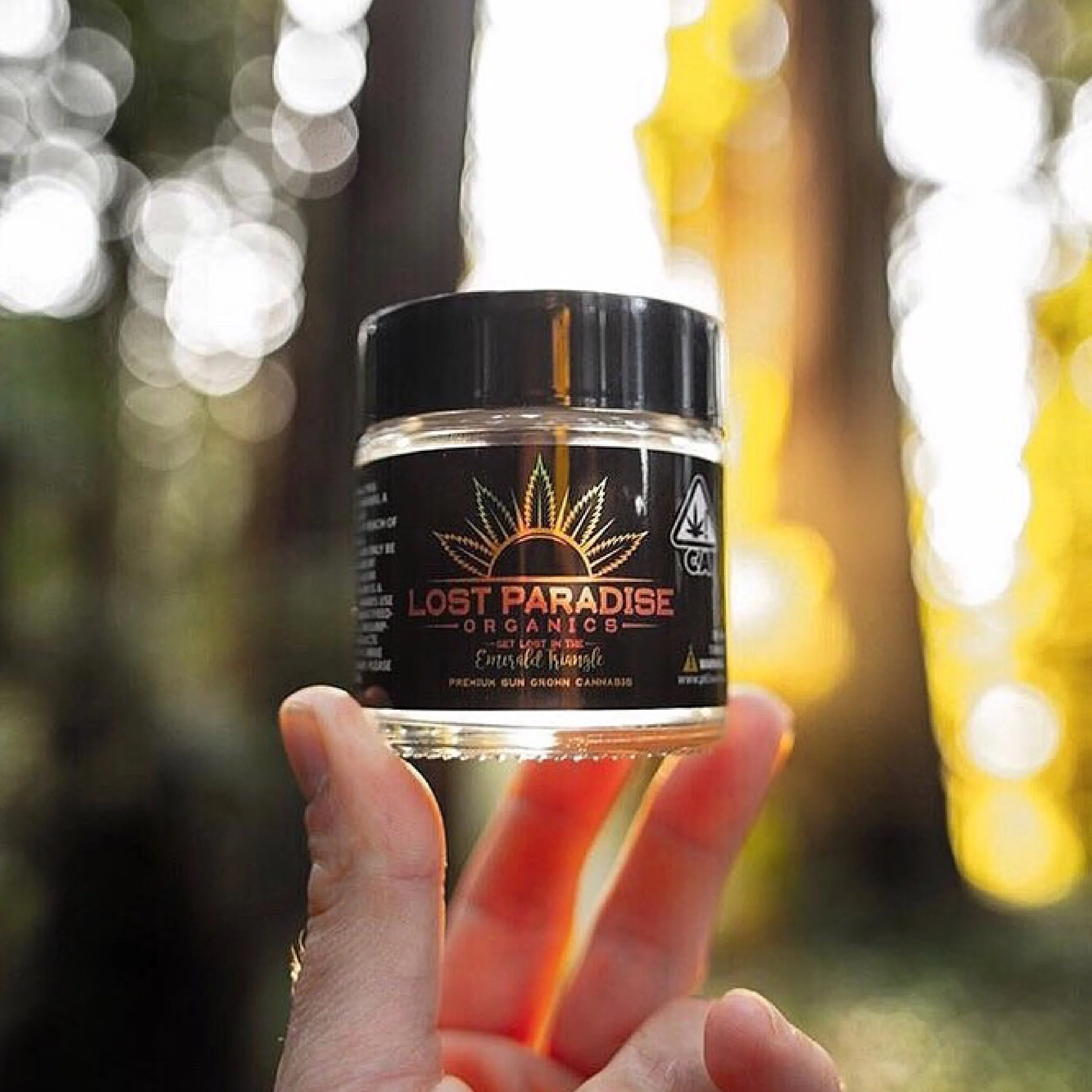 Photos - Lost Paradise-01.jpg