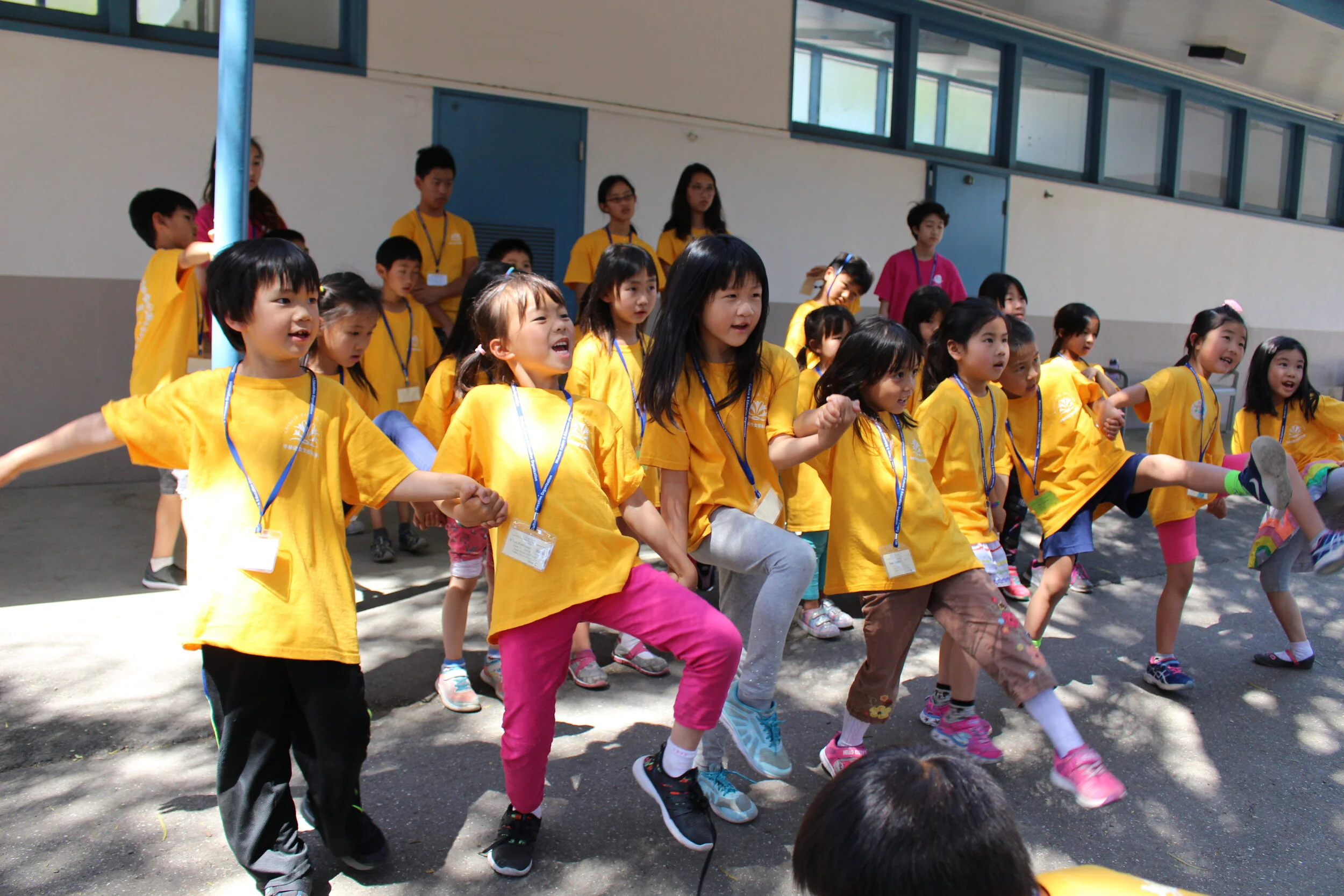 Connexpedition Wisdom Culture And Education Organization