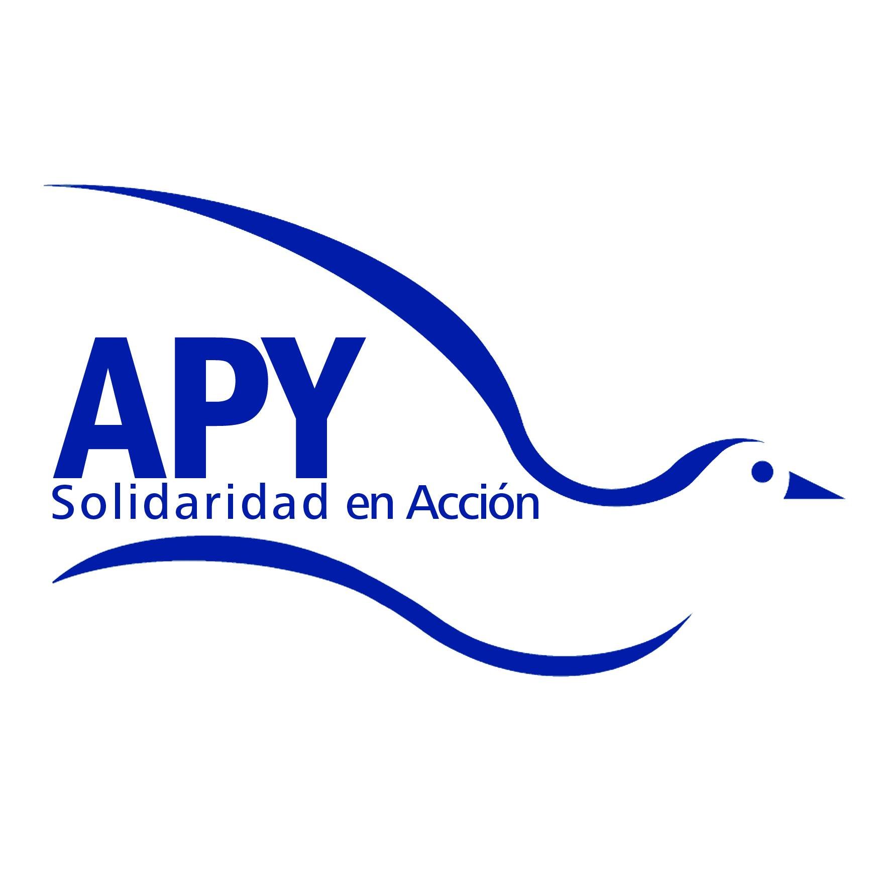 logo_apy.jpg