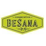 logo_besana.jpg