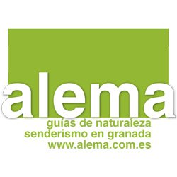 logo_guias_alema.jpg