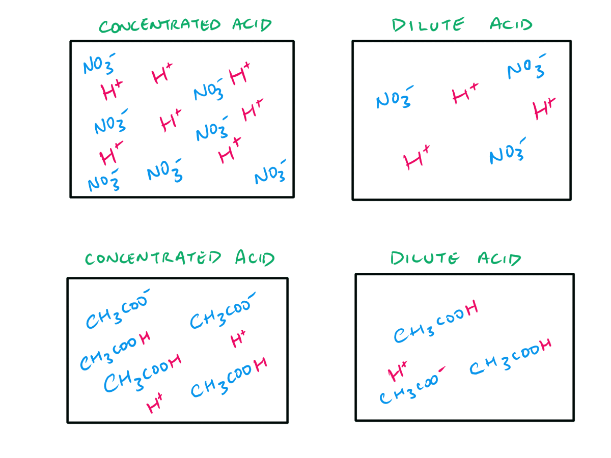 Example Of Concentrated Base At Sara Gardner Blog Example Of Concentrated Base At Sara Gardner Blog