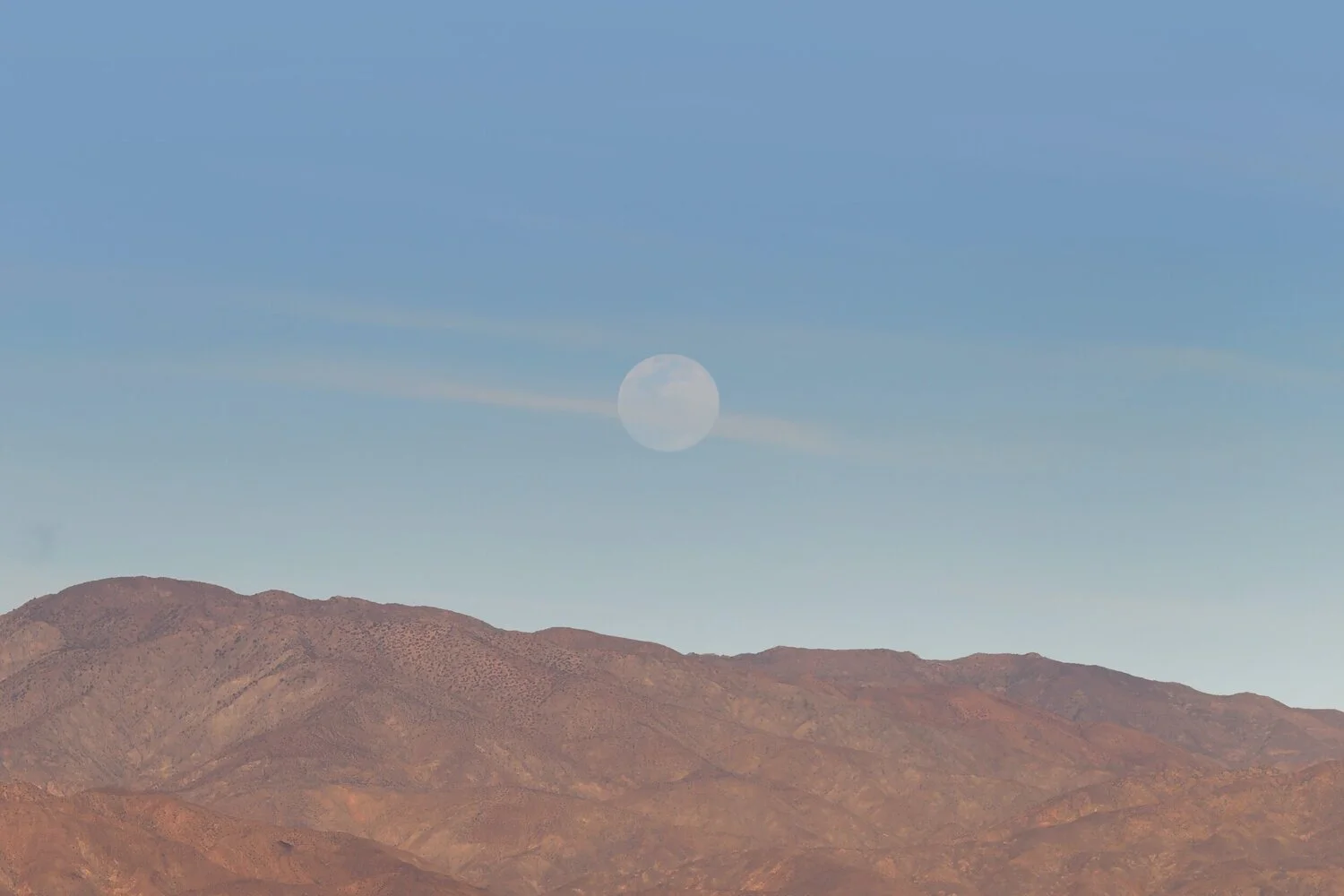 Facebook Algorithm? Here's how it works in 2021