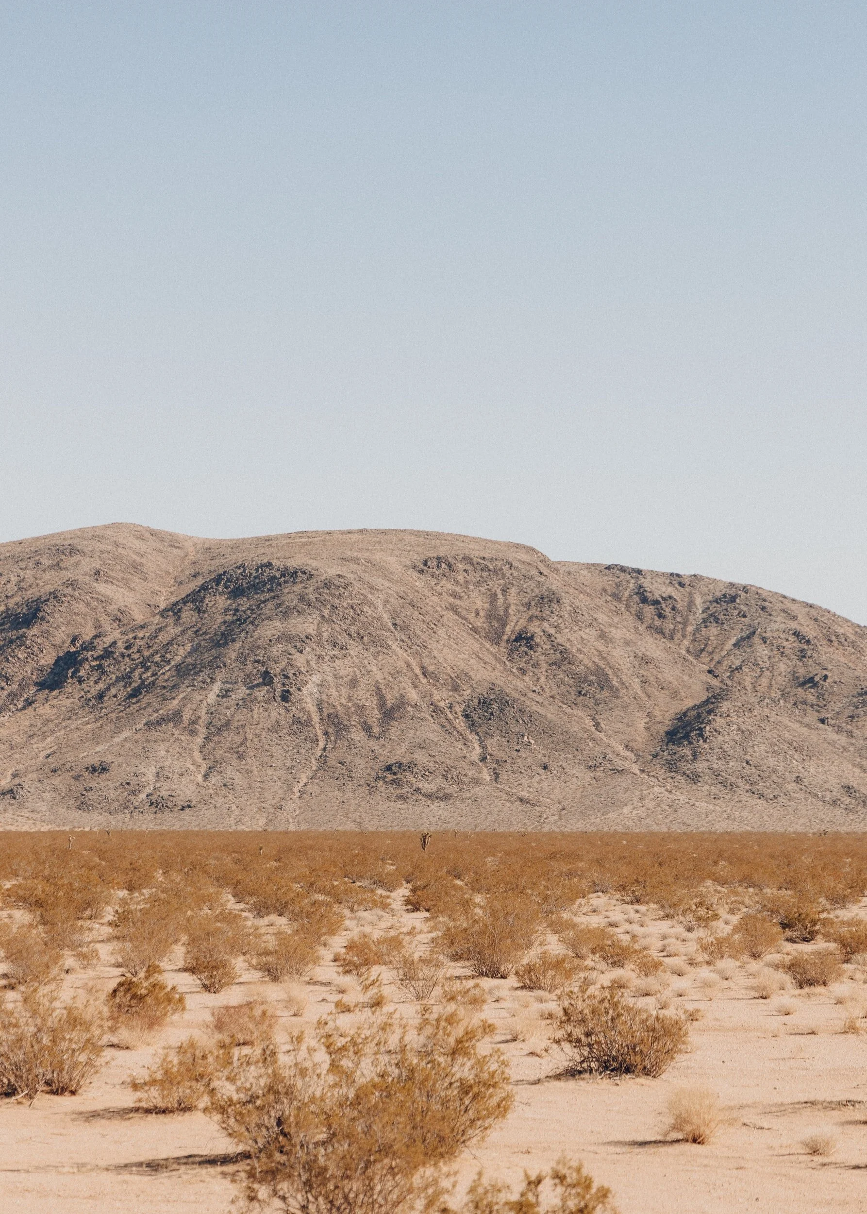 Social Media: 3 Simple Photography Hacks for Content Creation