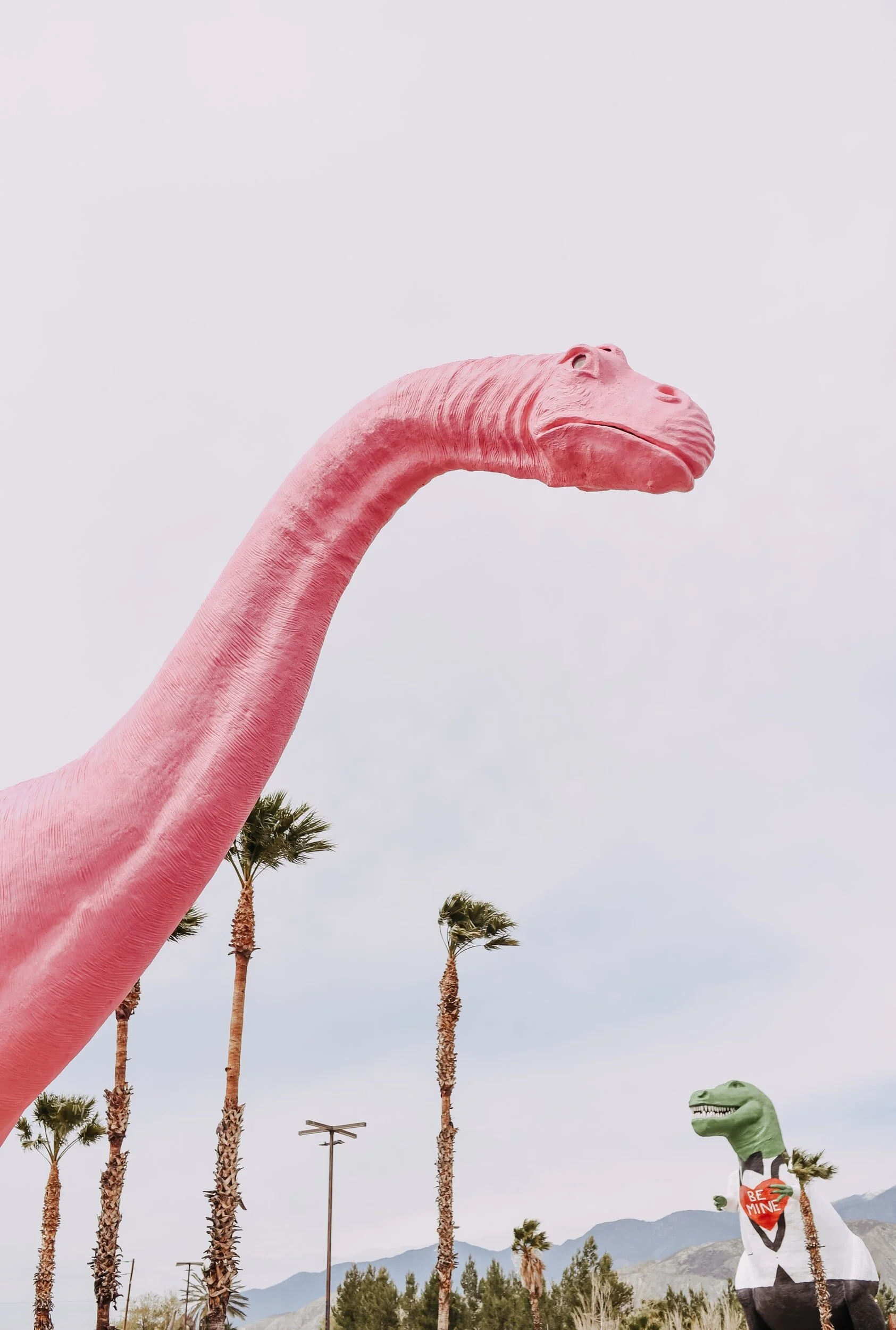 How an SEO agency Can Help Your Brand Grow