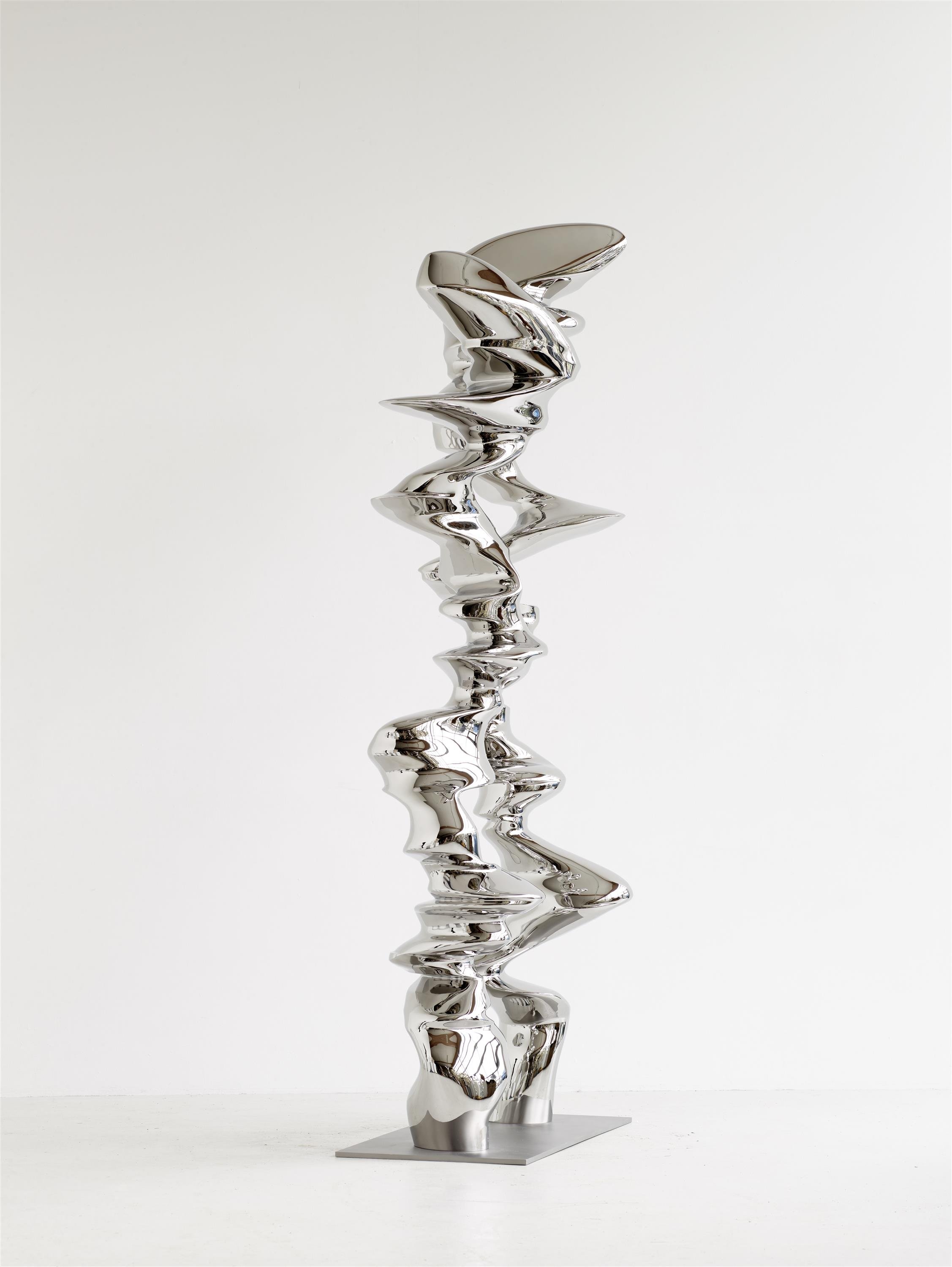 Tony Cragg / Points of View / 2019