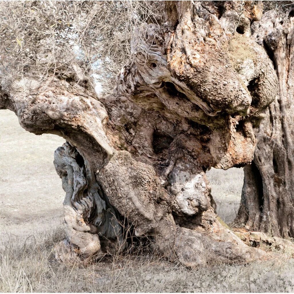 068a_29cm.jpg