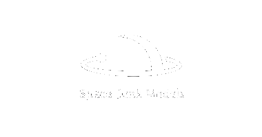 Space Junk Models.png