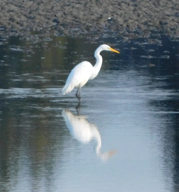 Field Trip Report, November 15